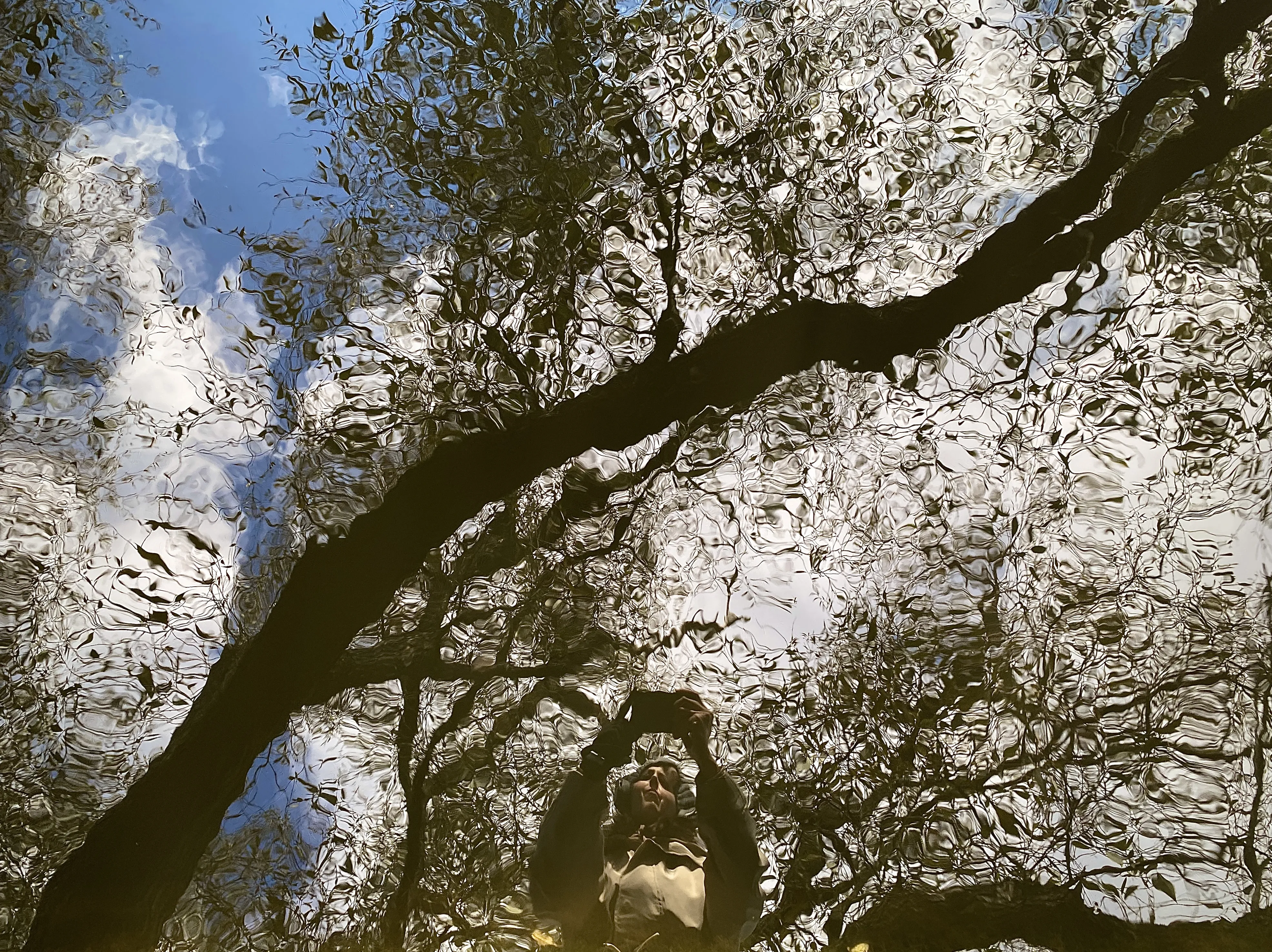 Автопортрет