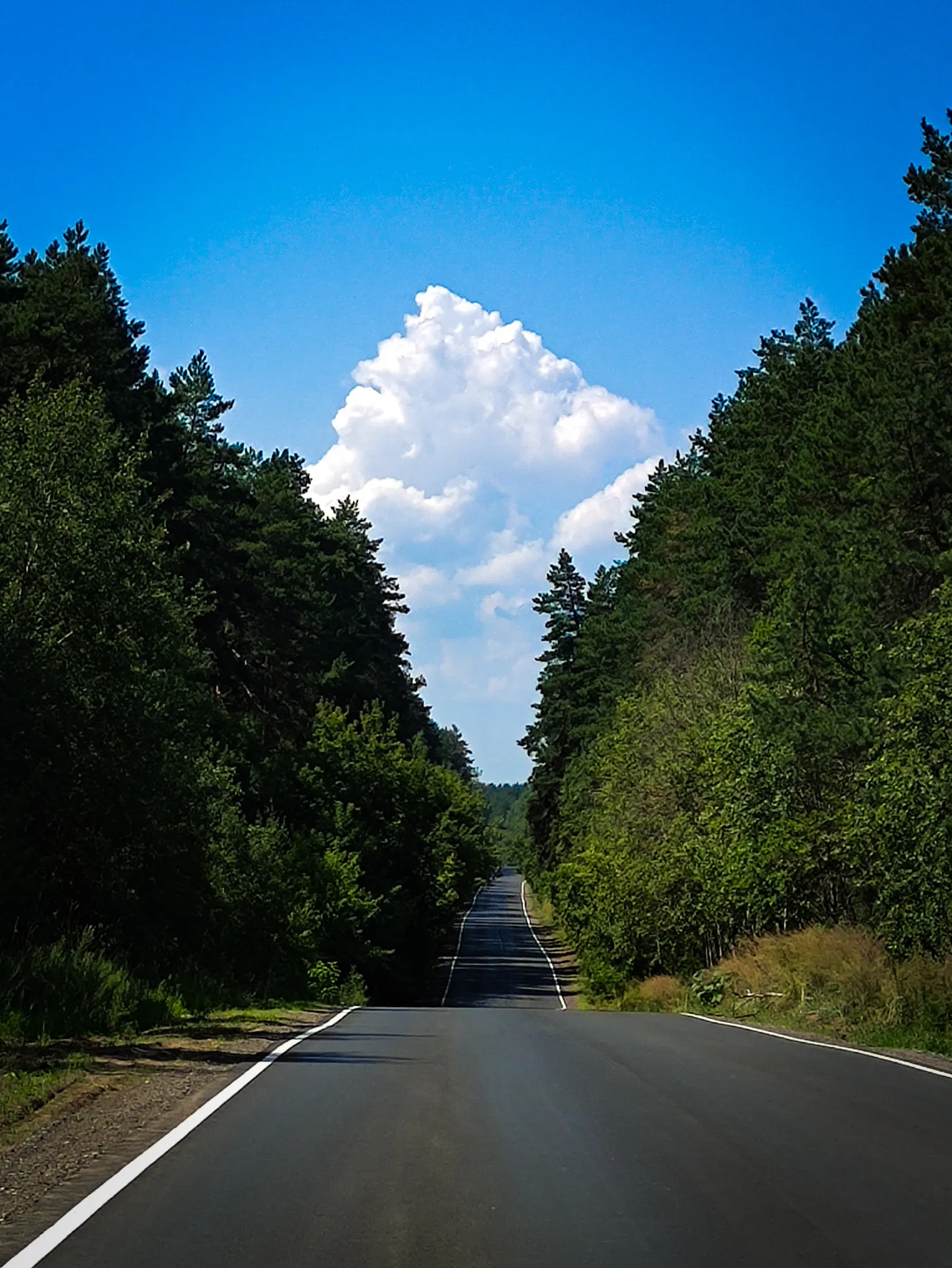 Показались горы