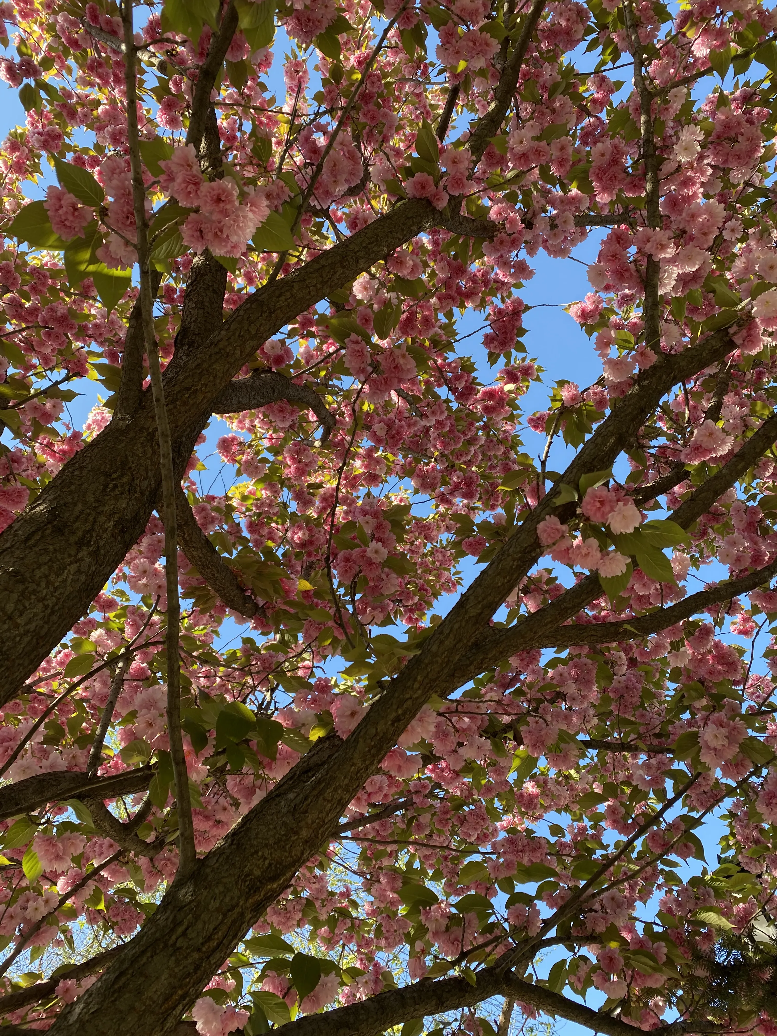 Смотреть под другим углом