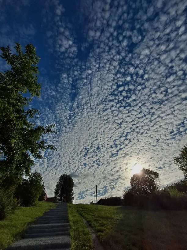 Небесная мозаика