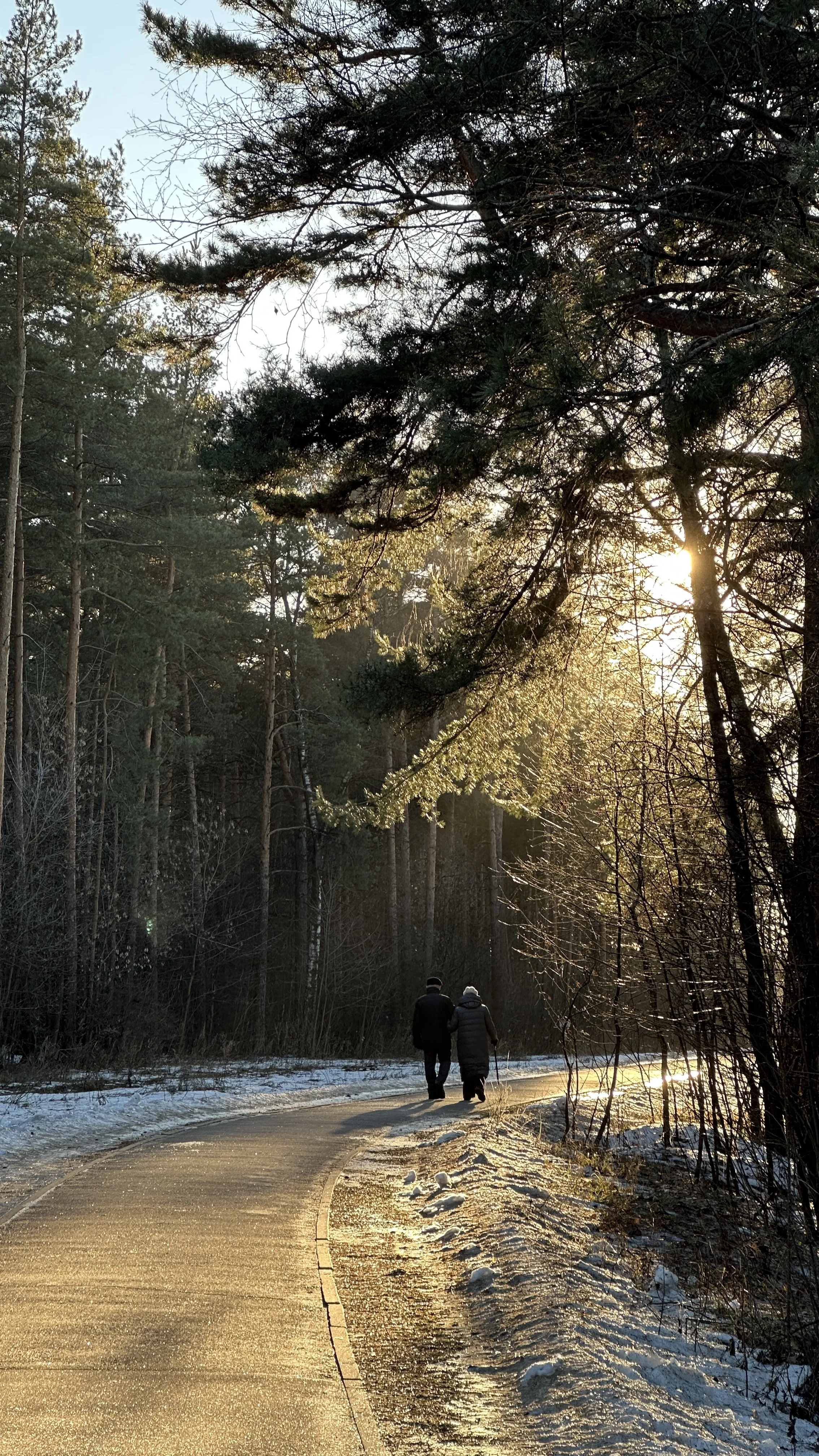 Прогулка длиною в жизнь