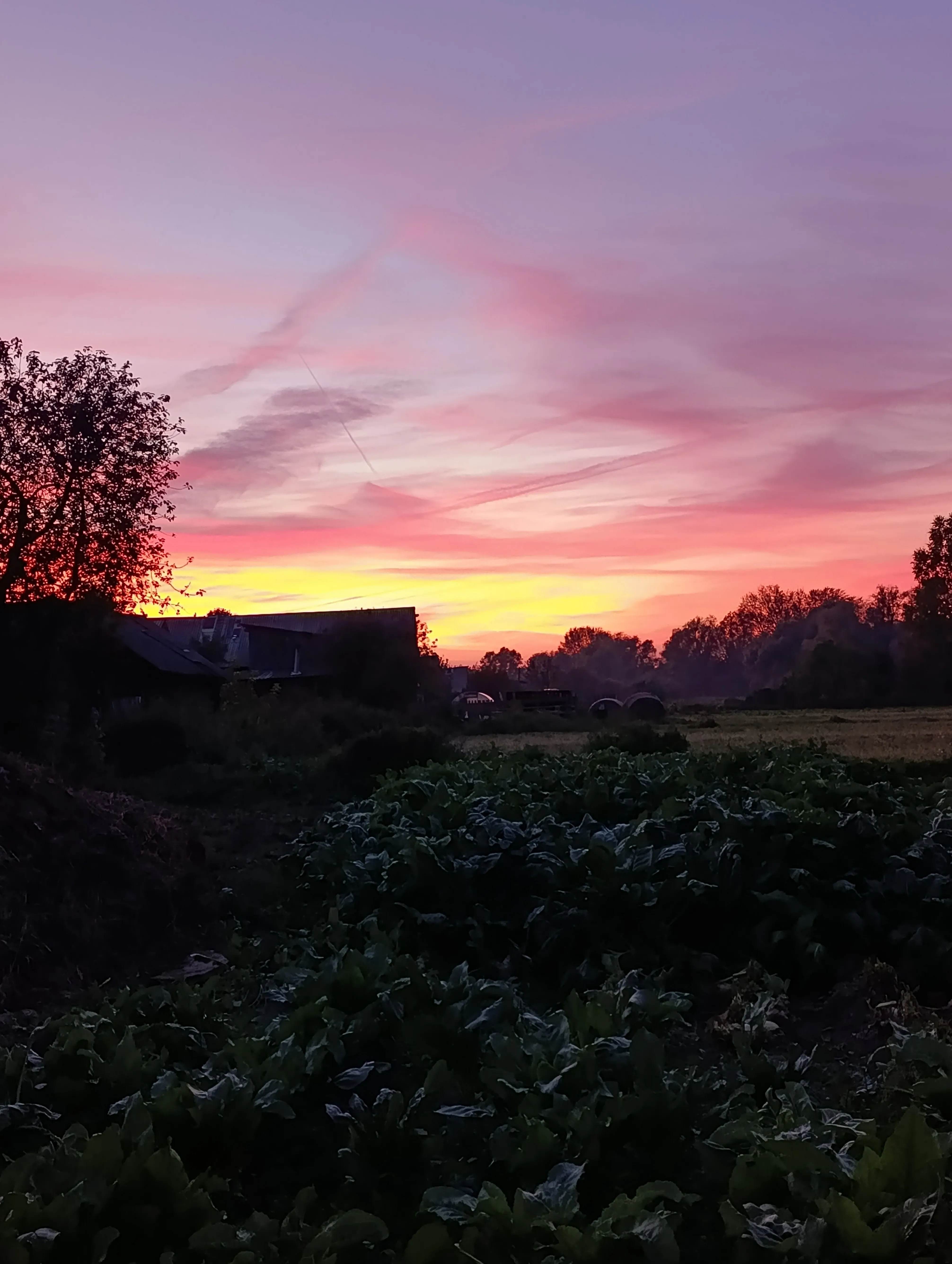 Чудесный закат