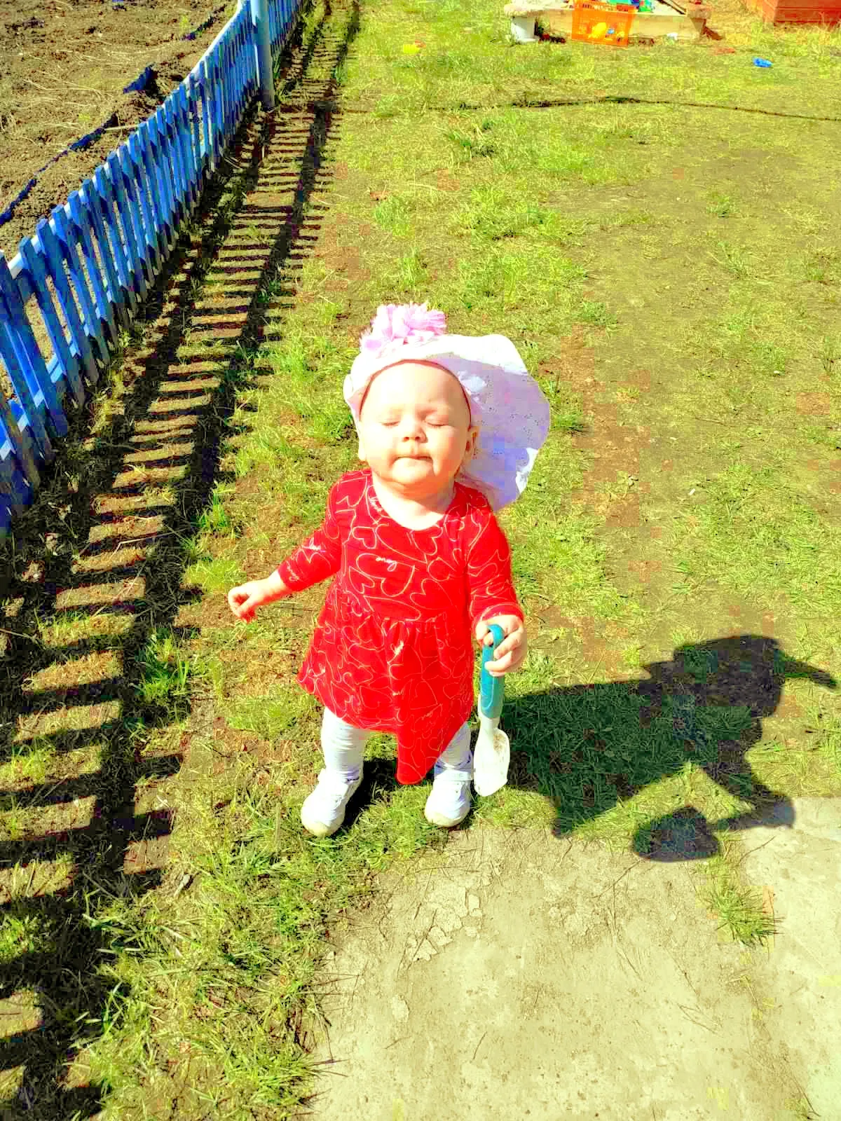 Летний ветерок