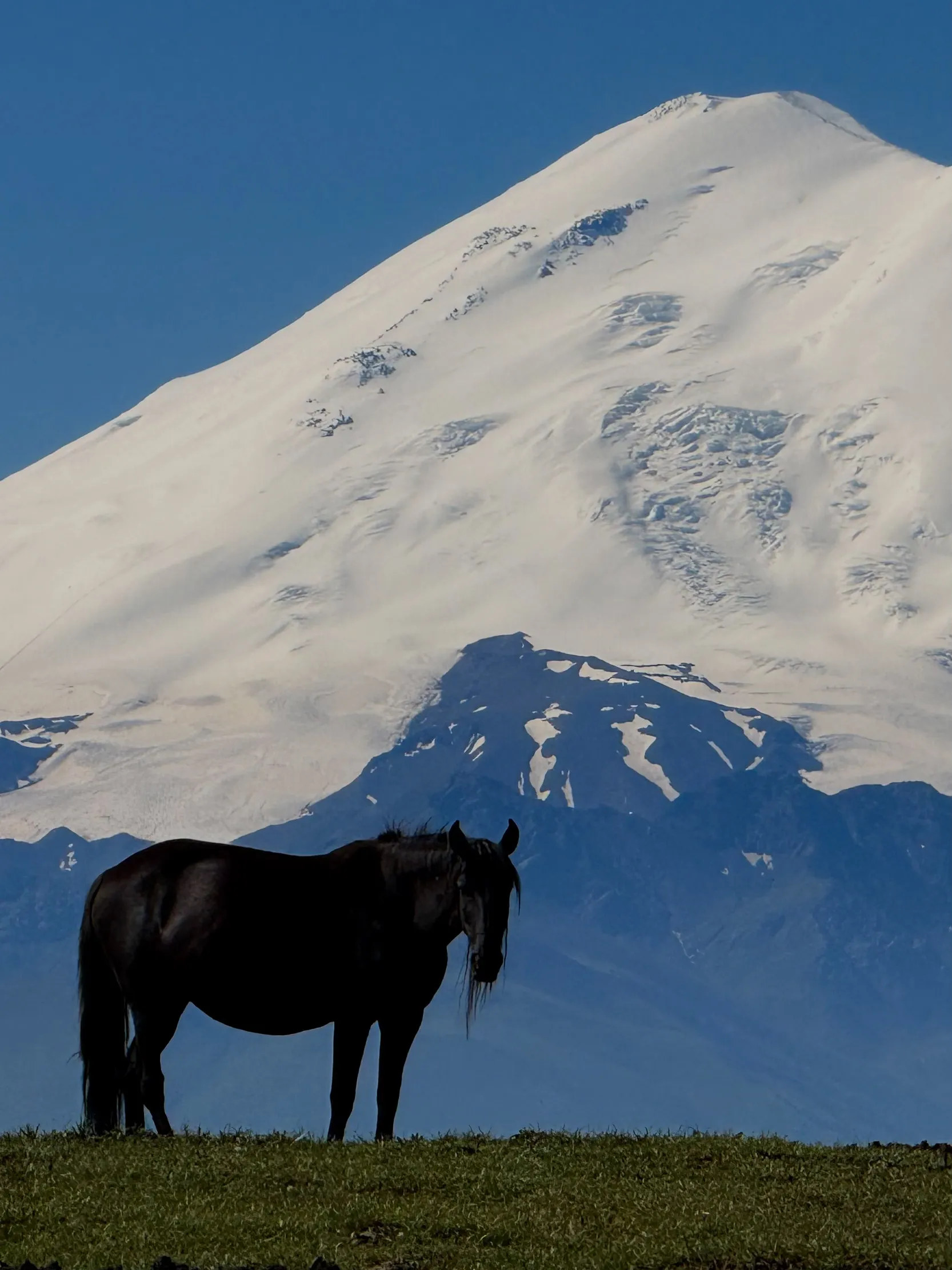 у вечного покоя