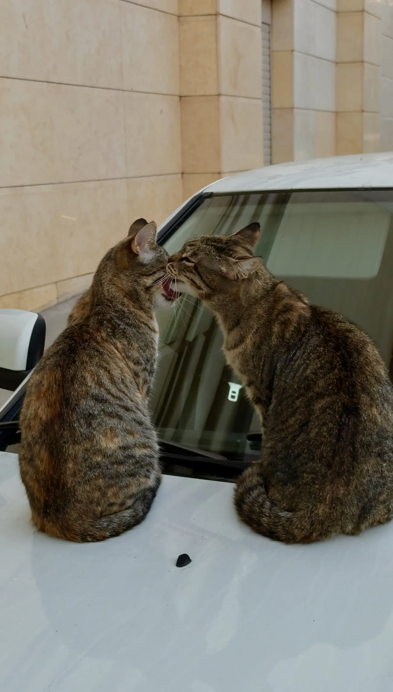 Не потом, а сейчас