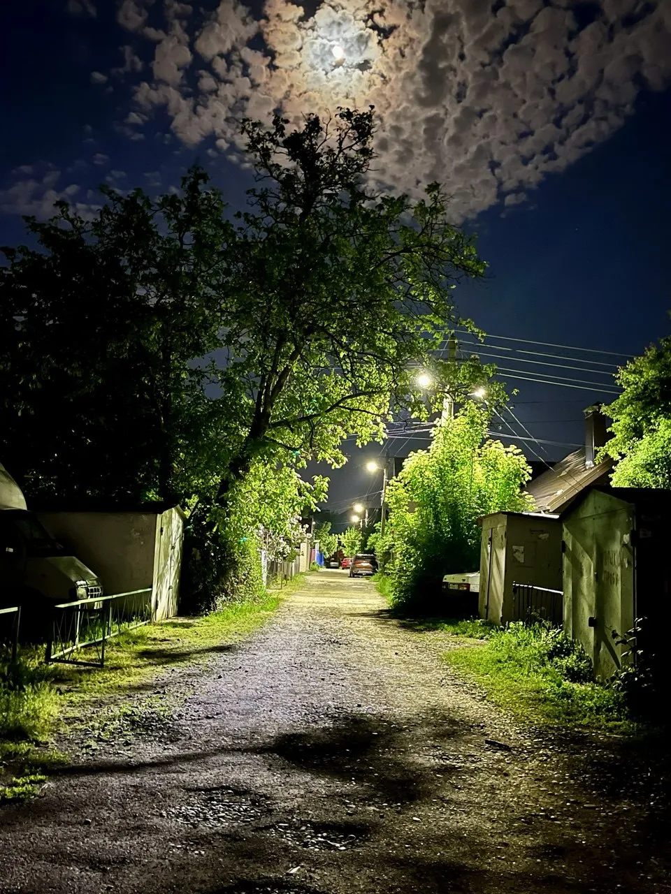 Лунная ночь