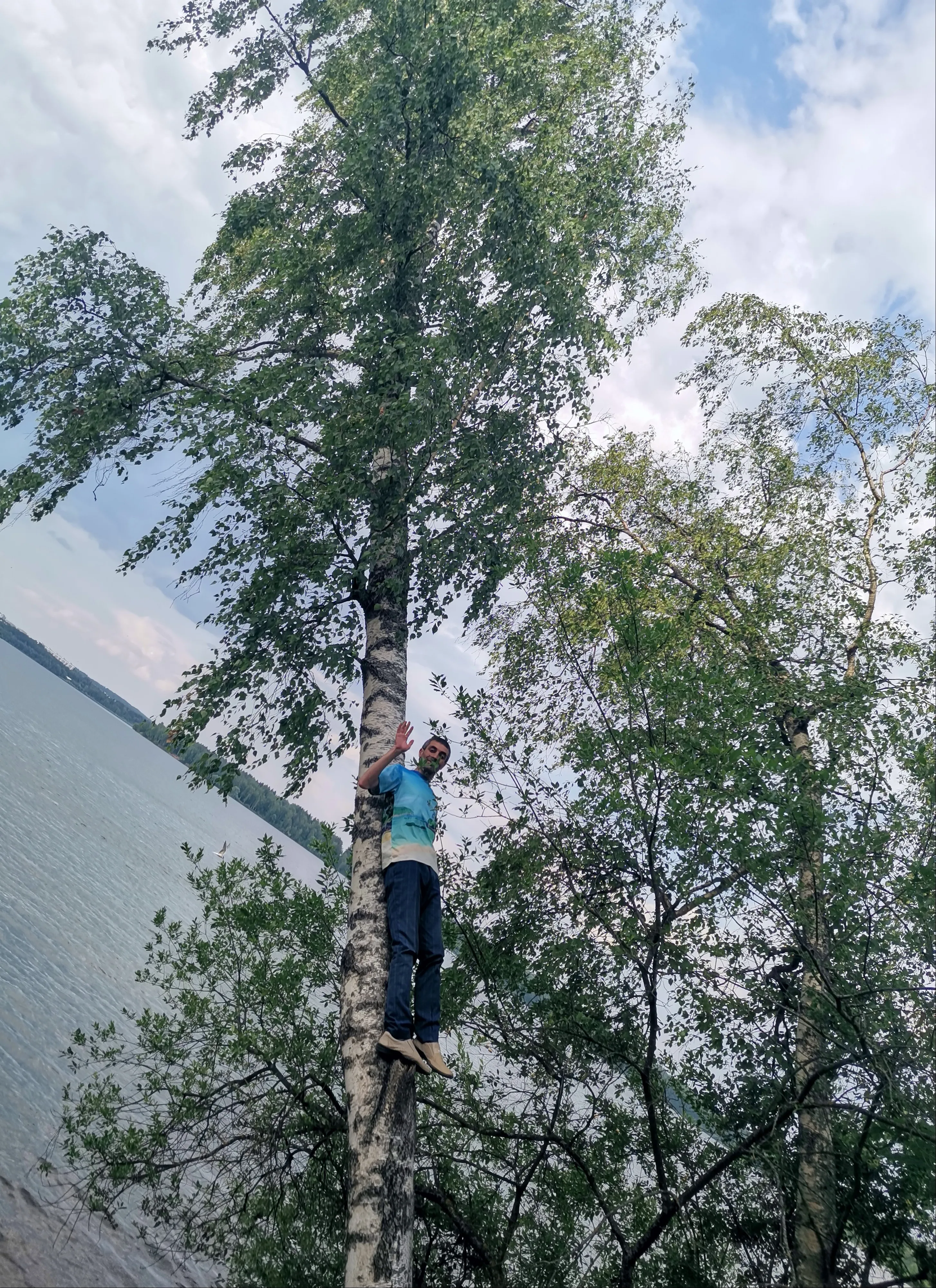 Дружба с деревом.