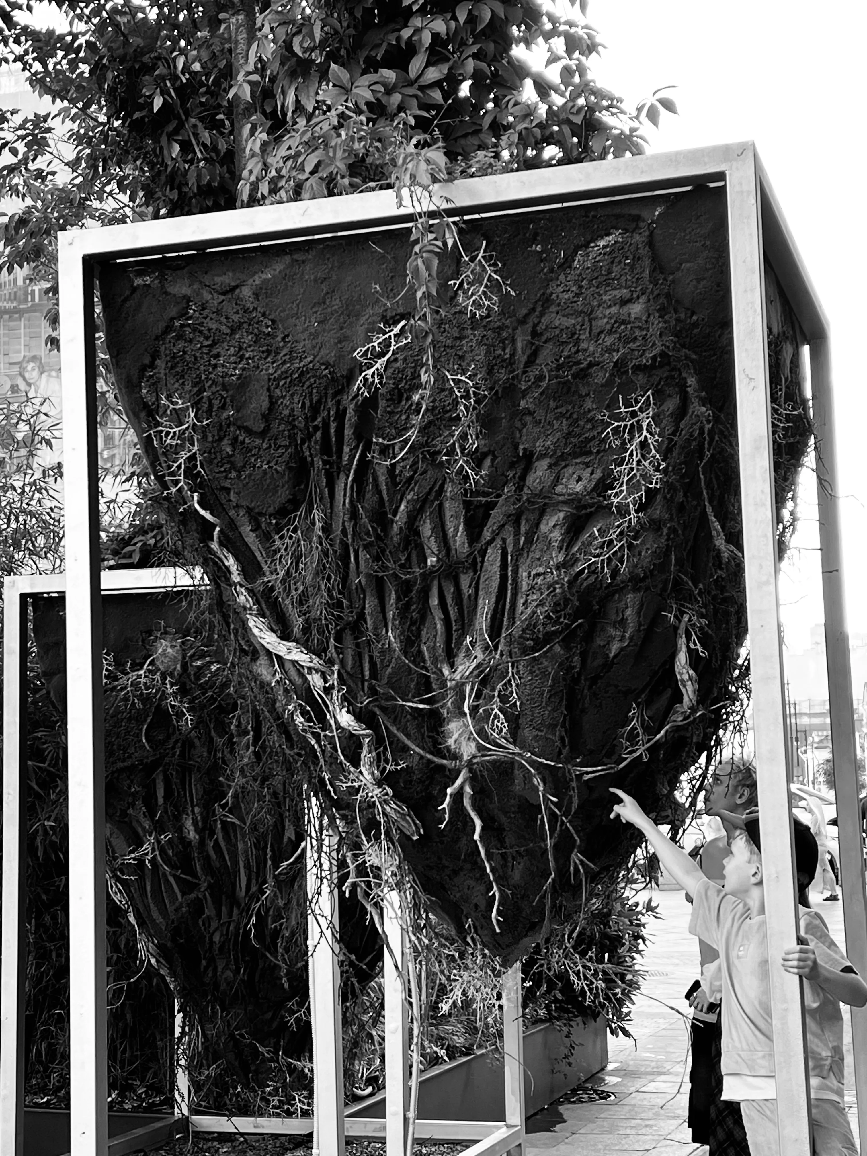 Корни поколений