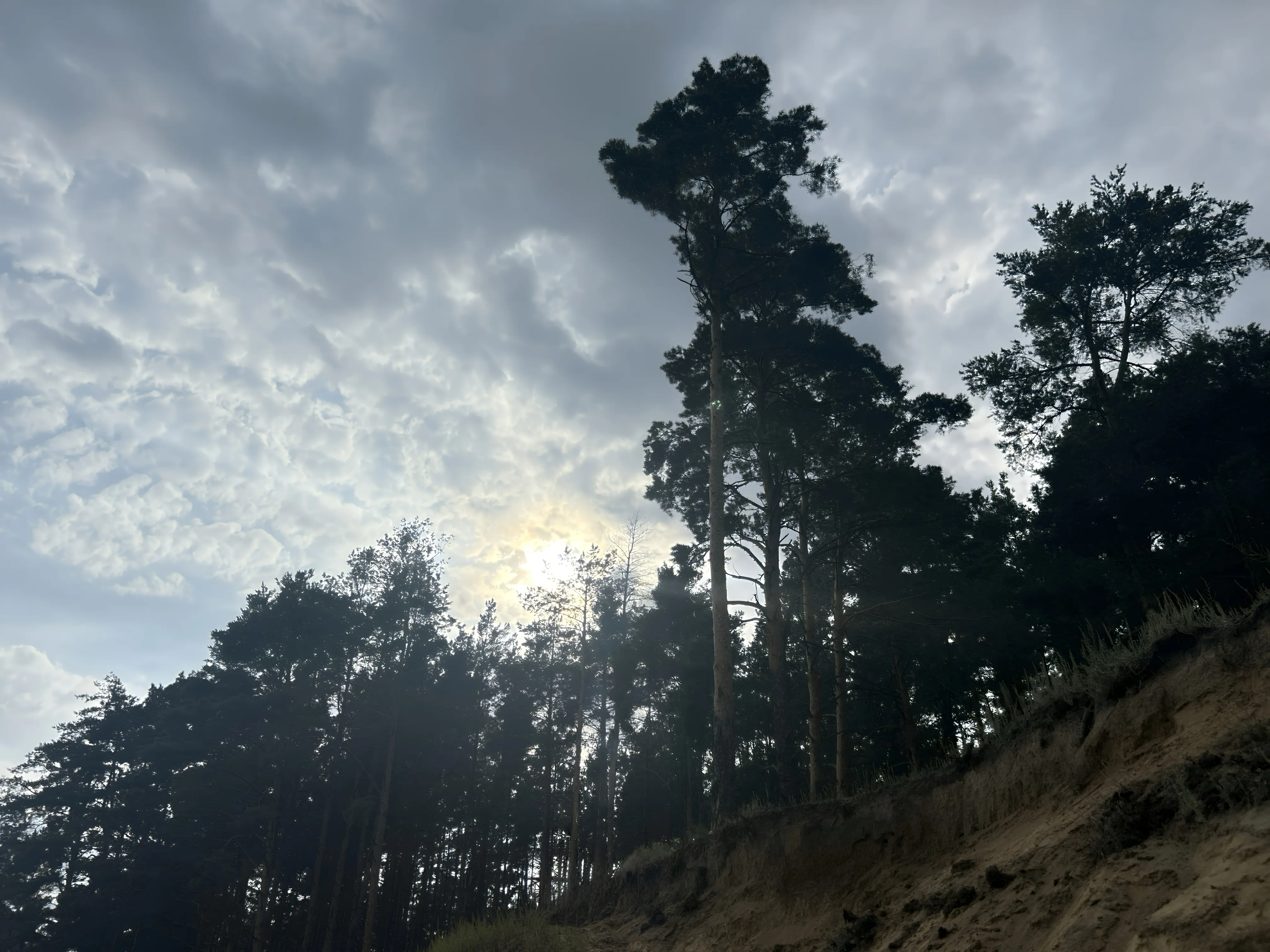 Вечерняя симфония