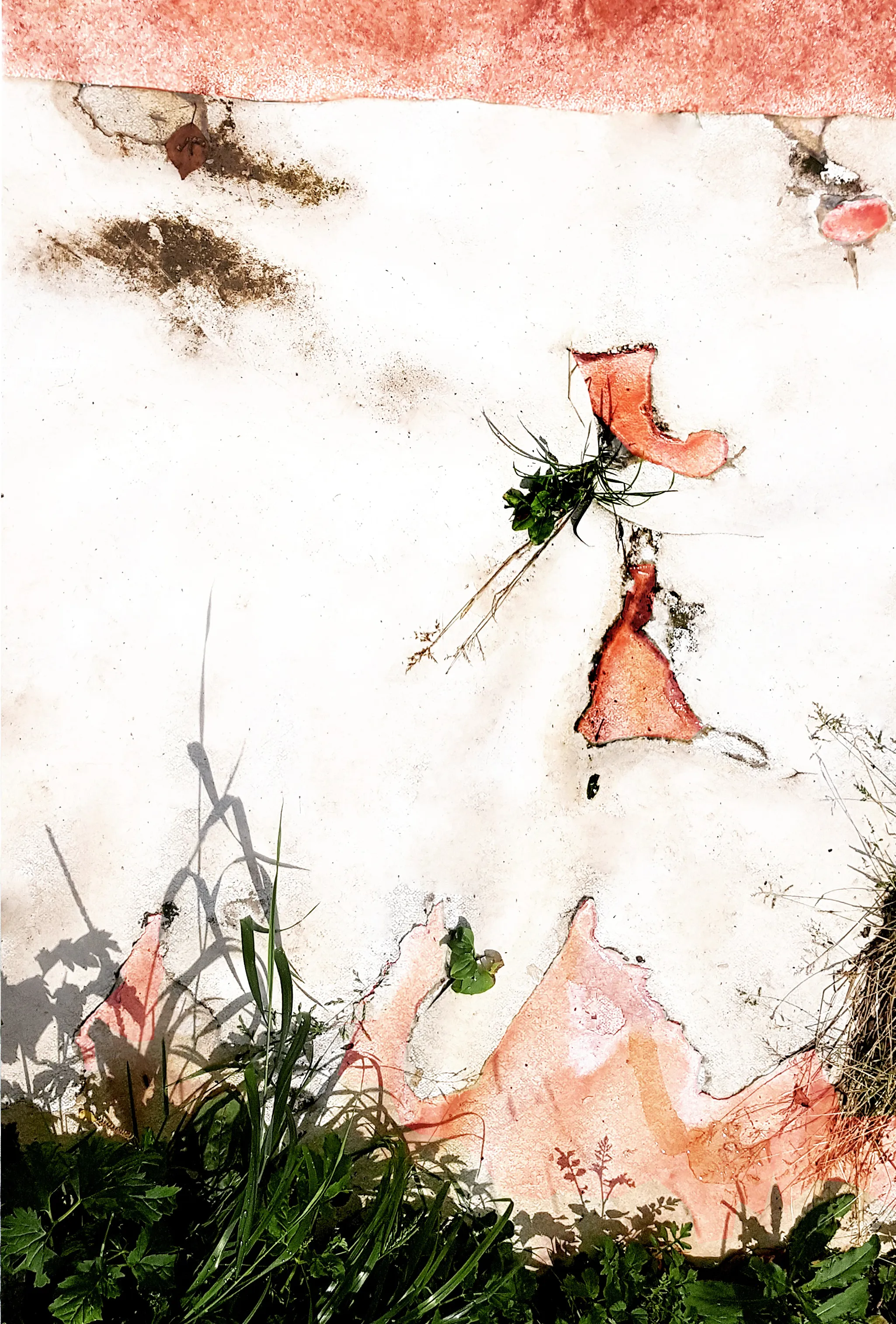 Pareidolia.Сказки сезона мороженого