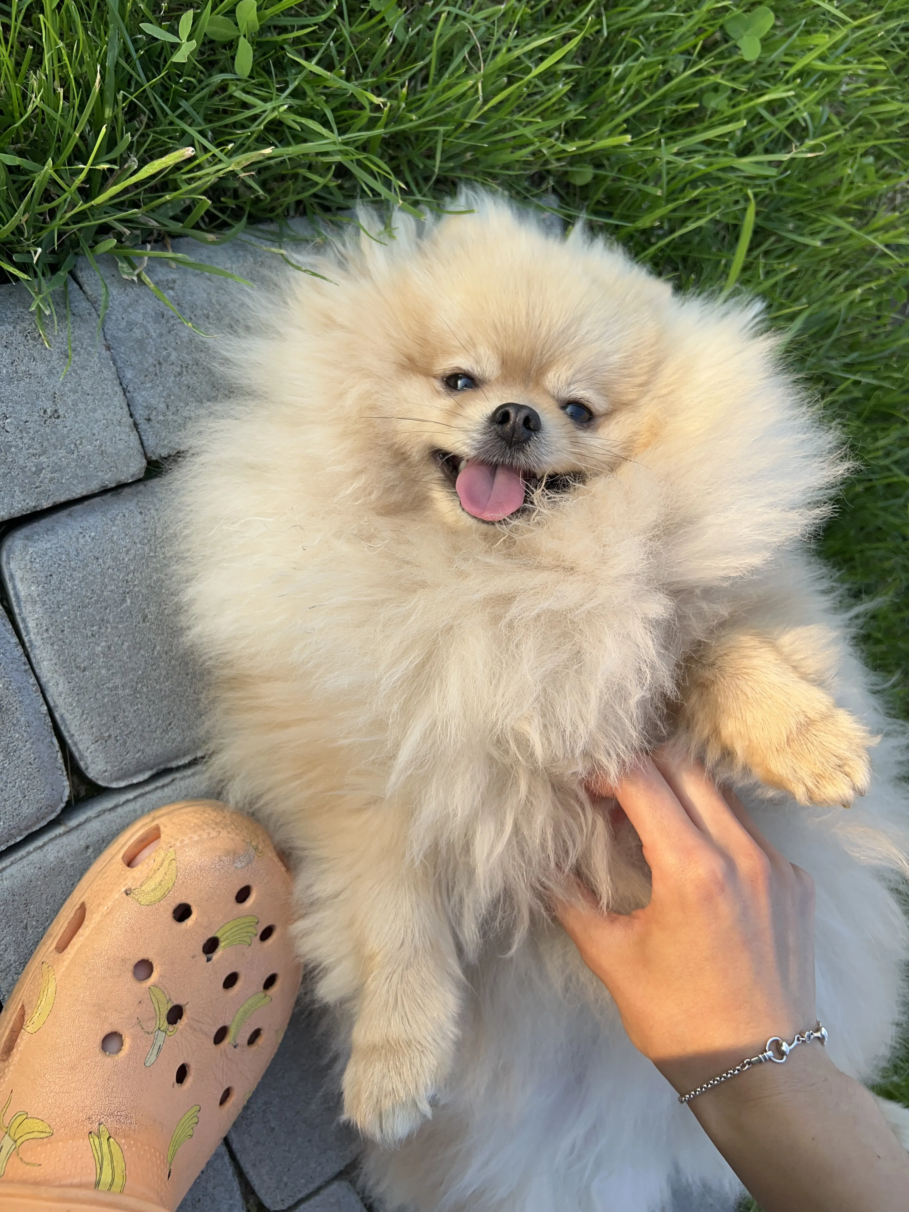 Счастливый день из жизни Милки