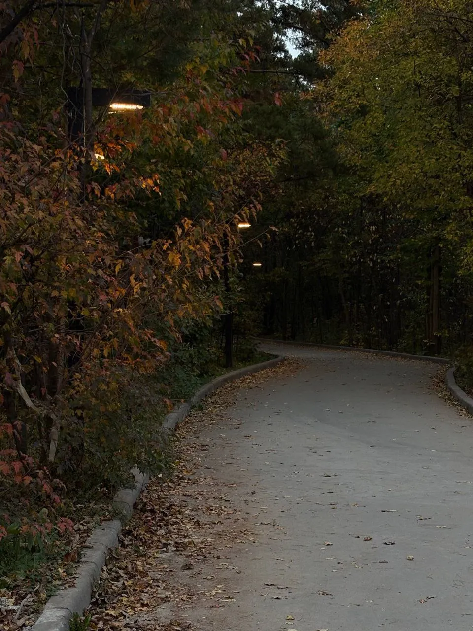 Вечерний парк