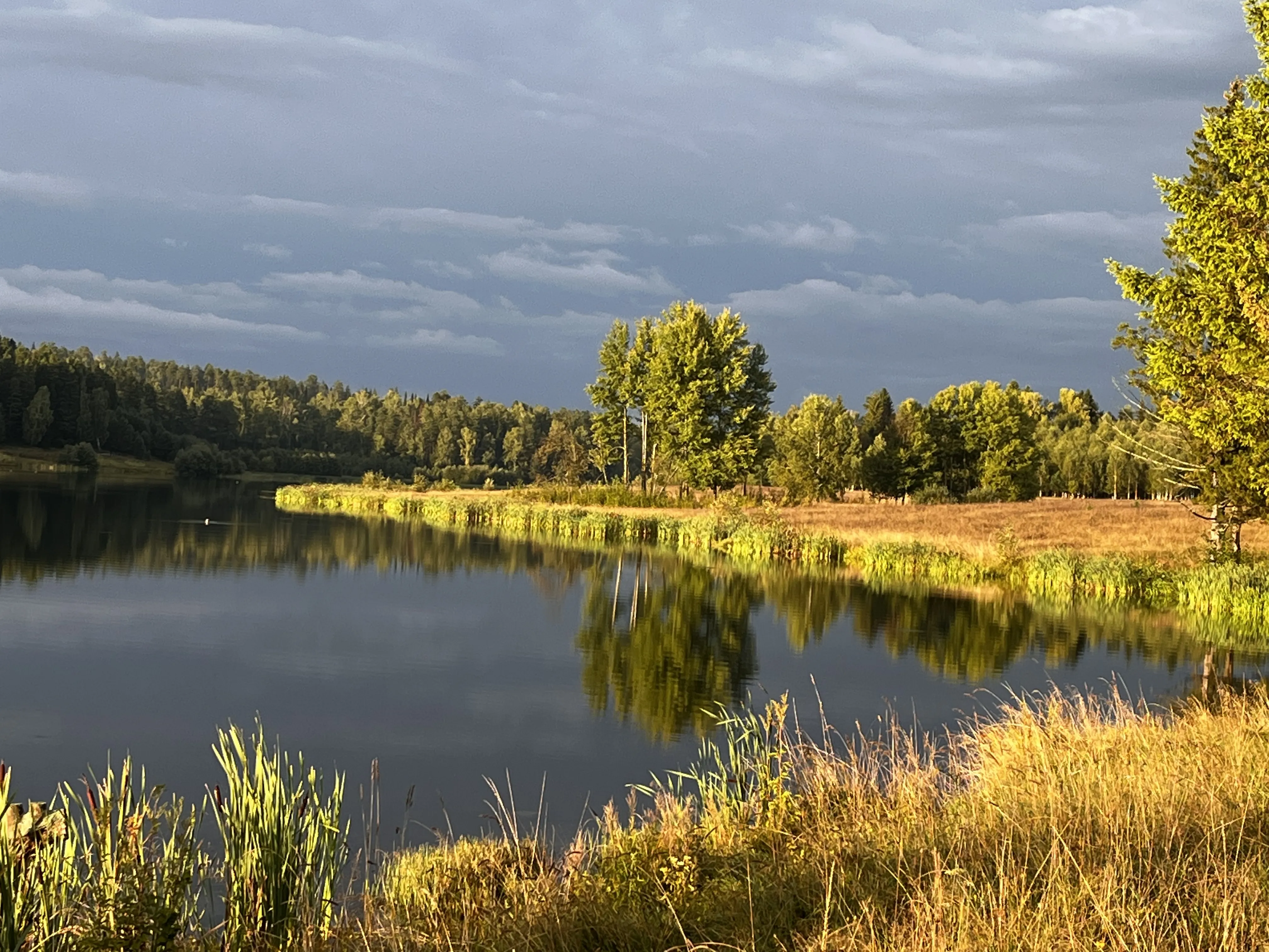 Здесь и сейчас жизнь в моменте