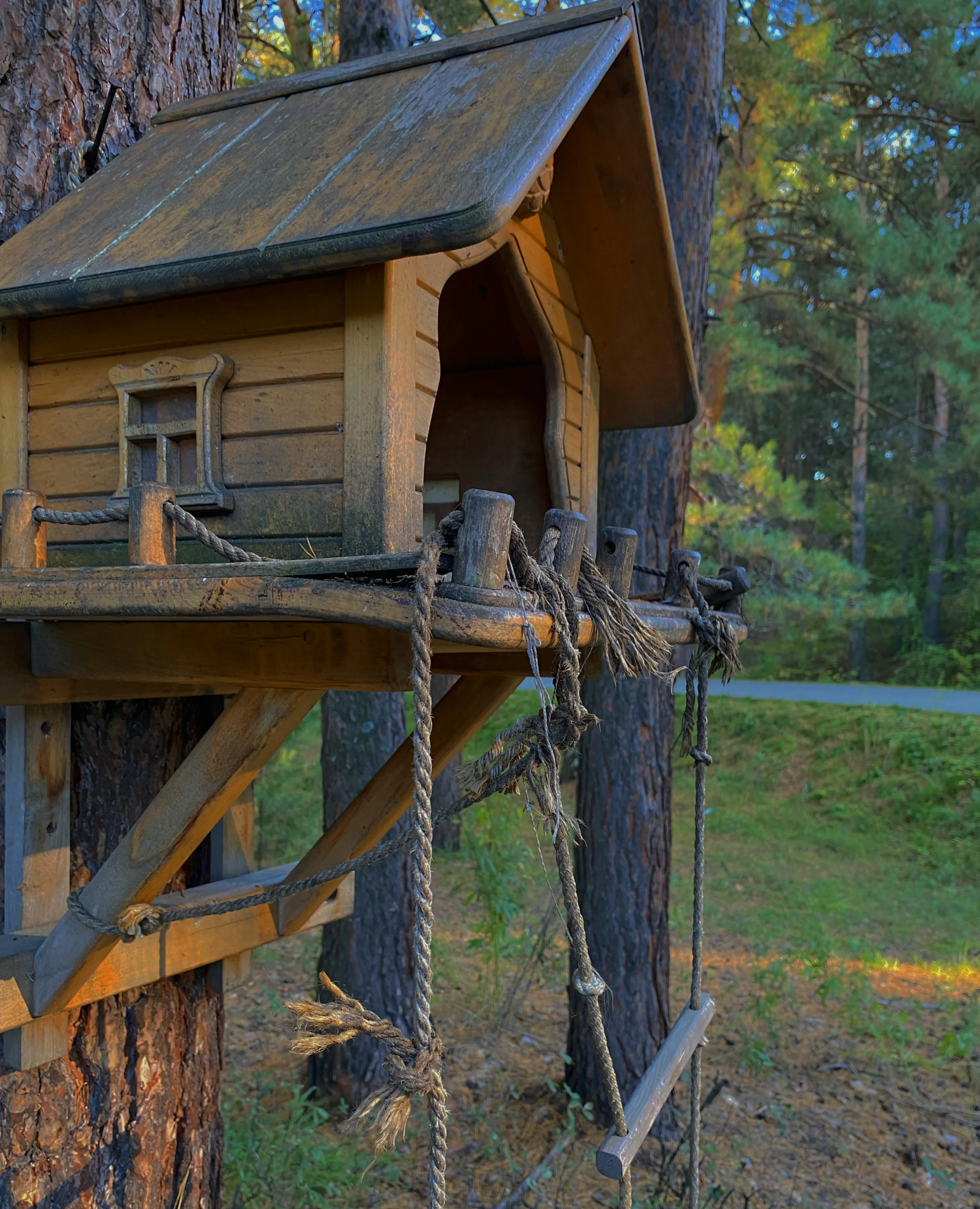 Дом на дереве