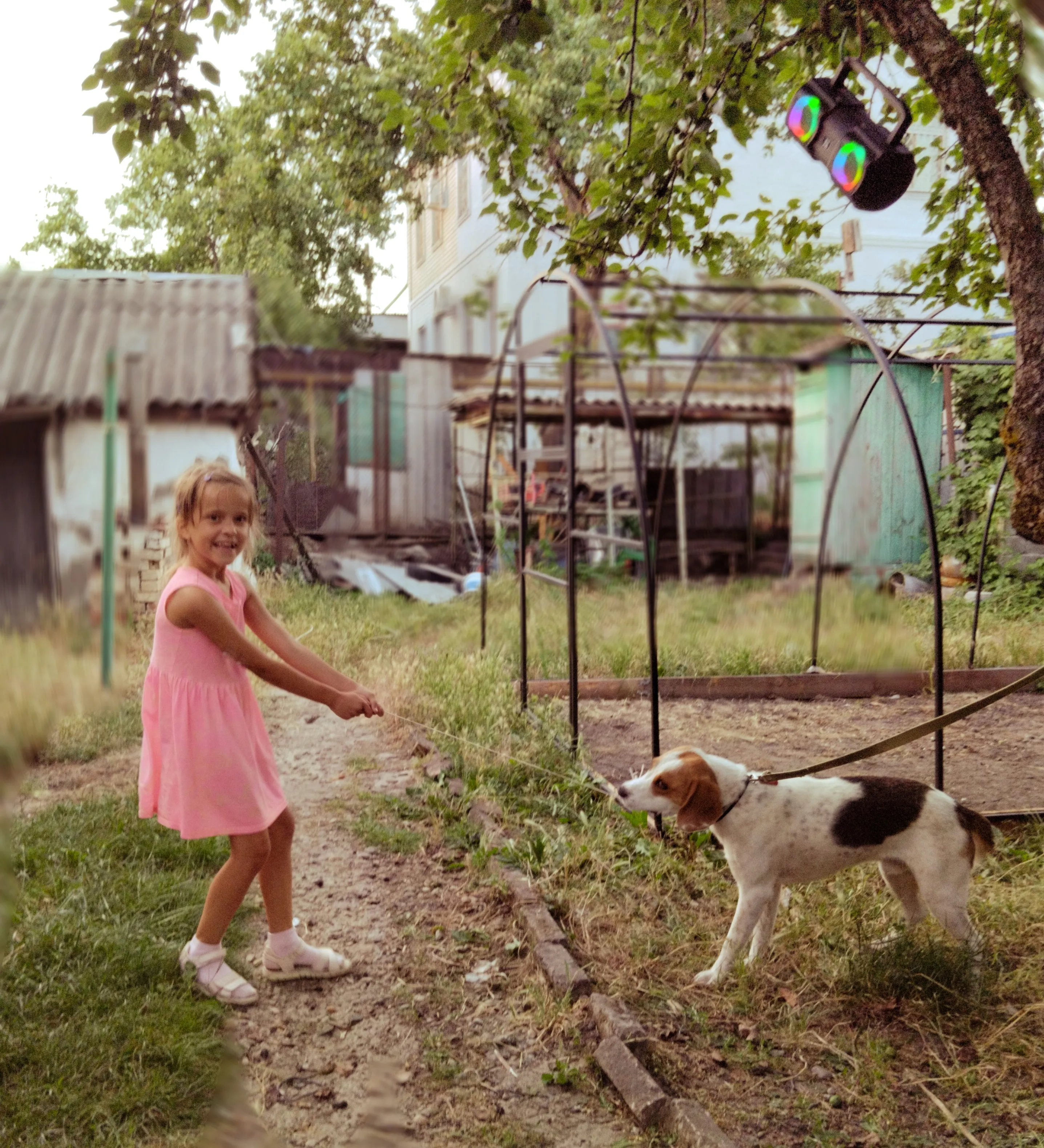 Тянем-потянем