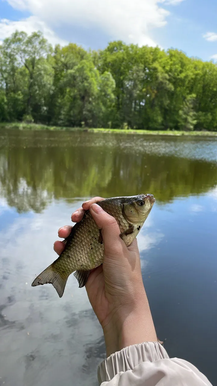 Счастье на ладони