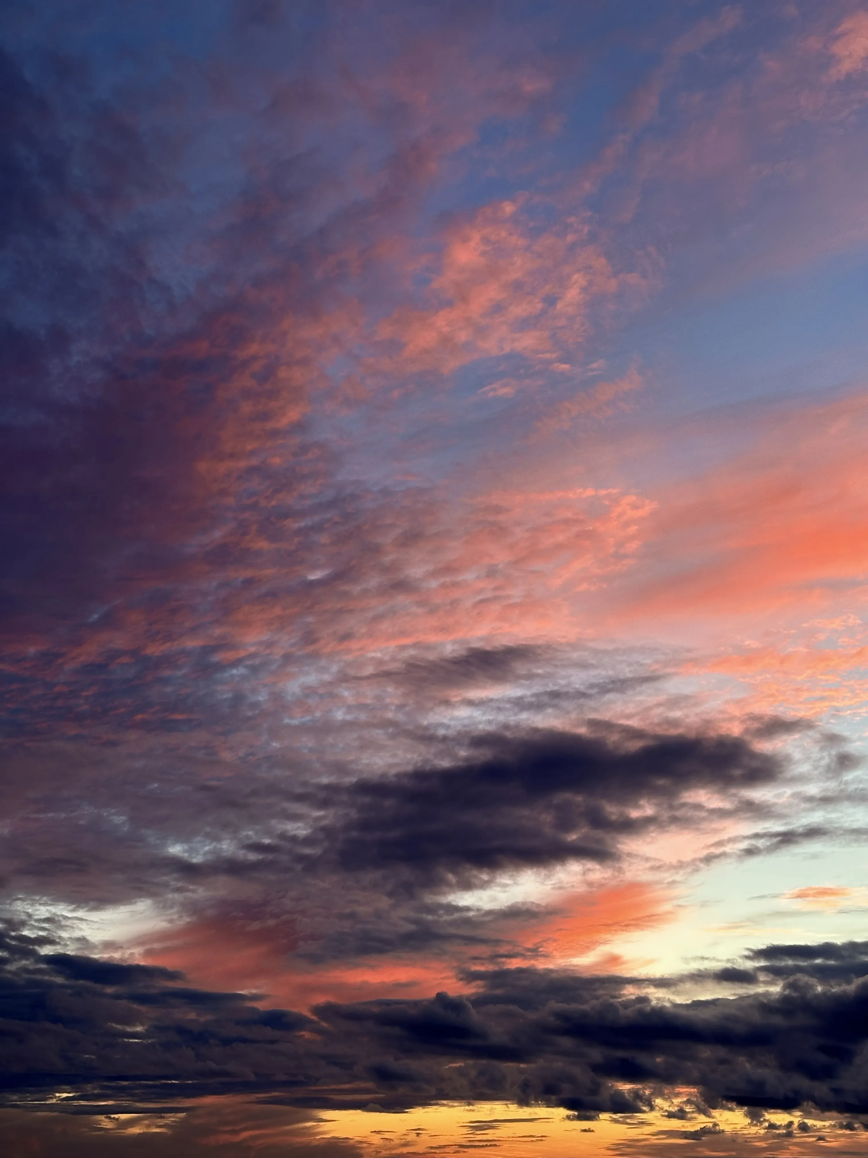 Смерть художника