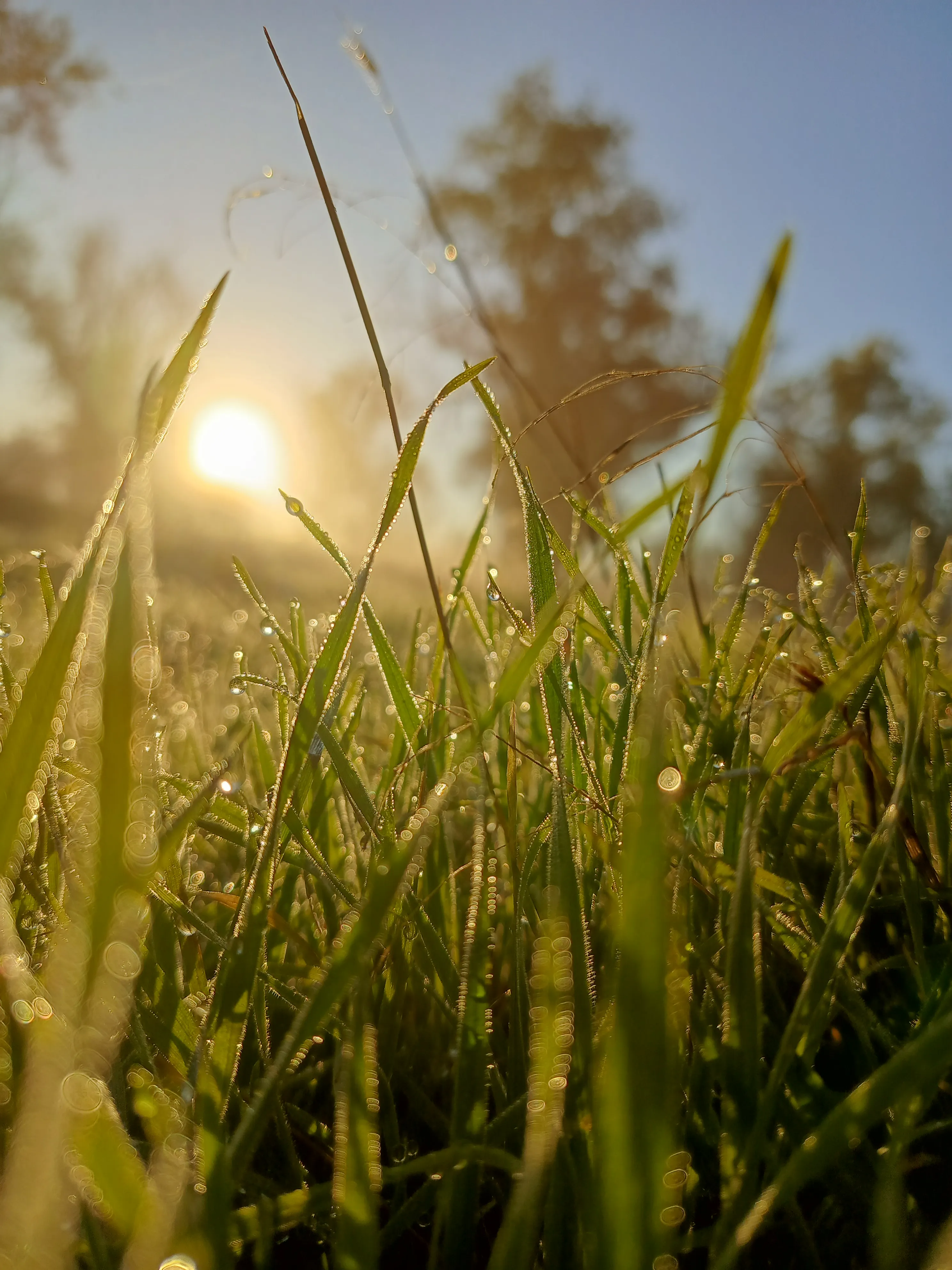 утро в октябре