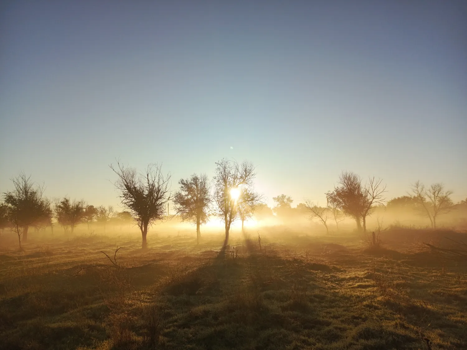 туманное утро