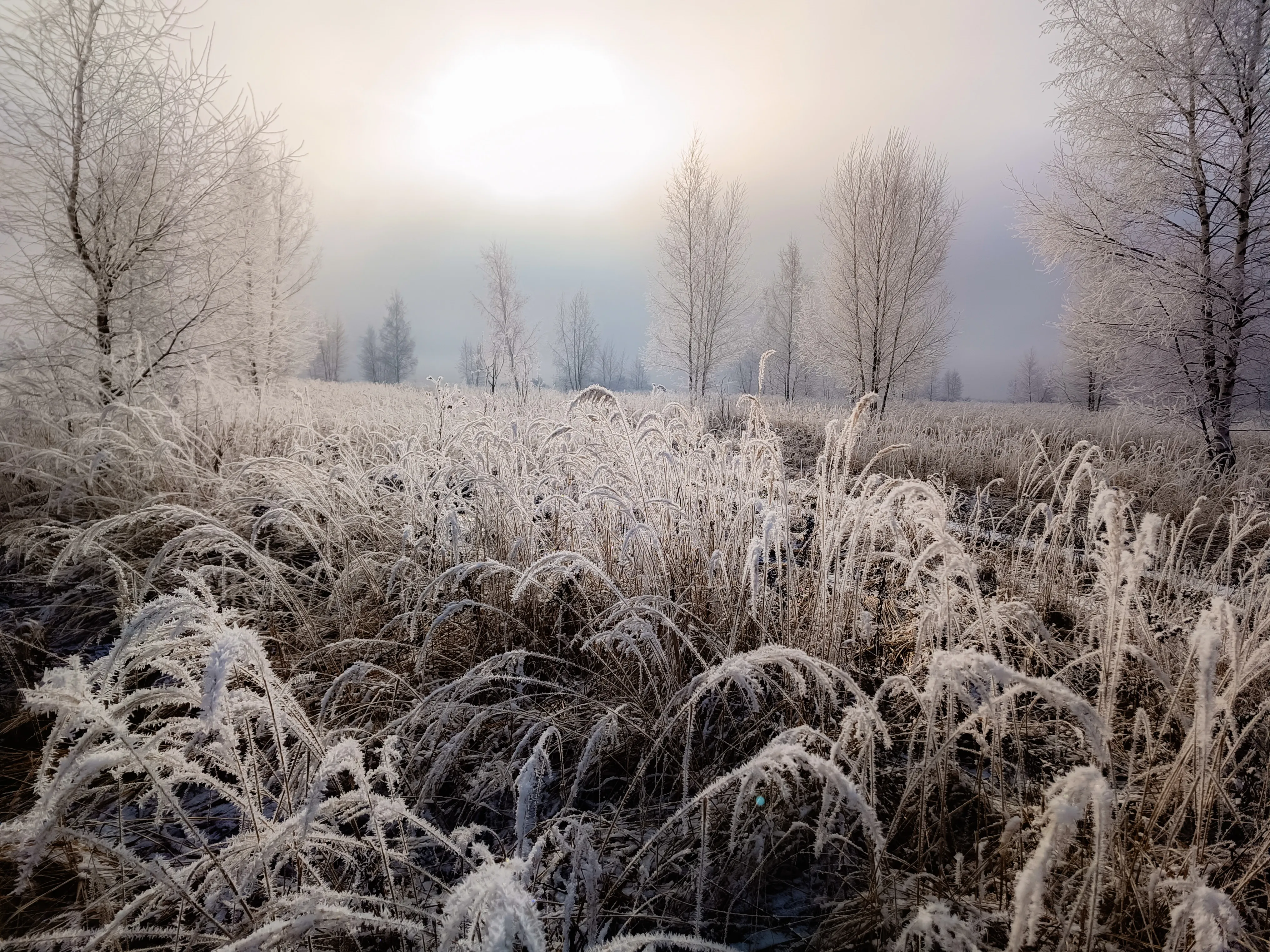 Солнце из за тучи