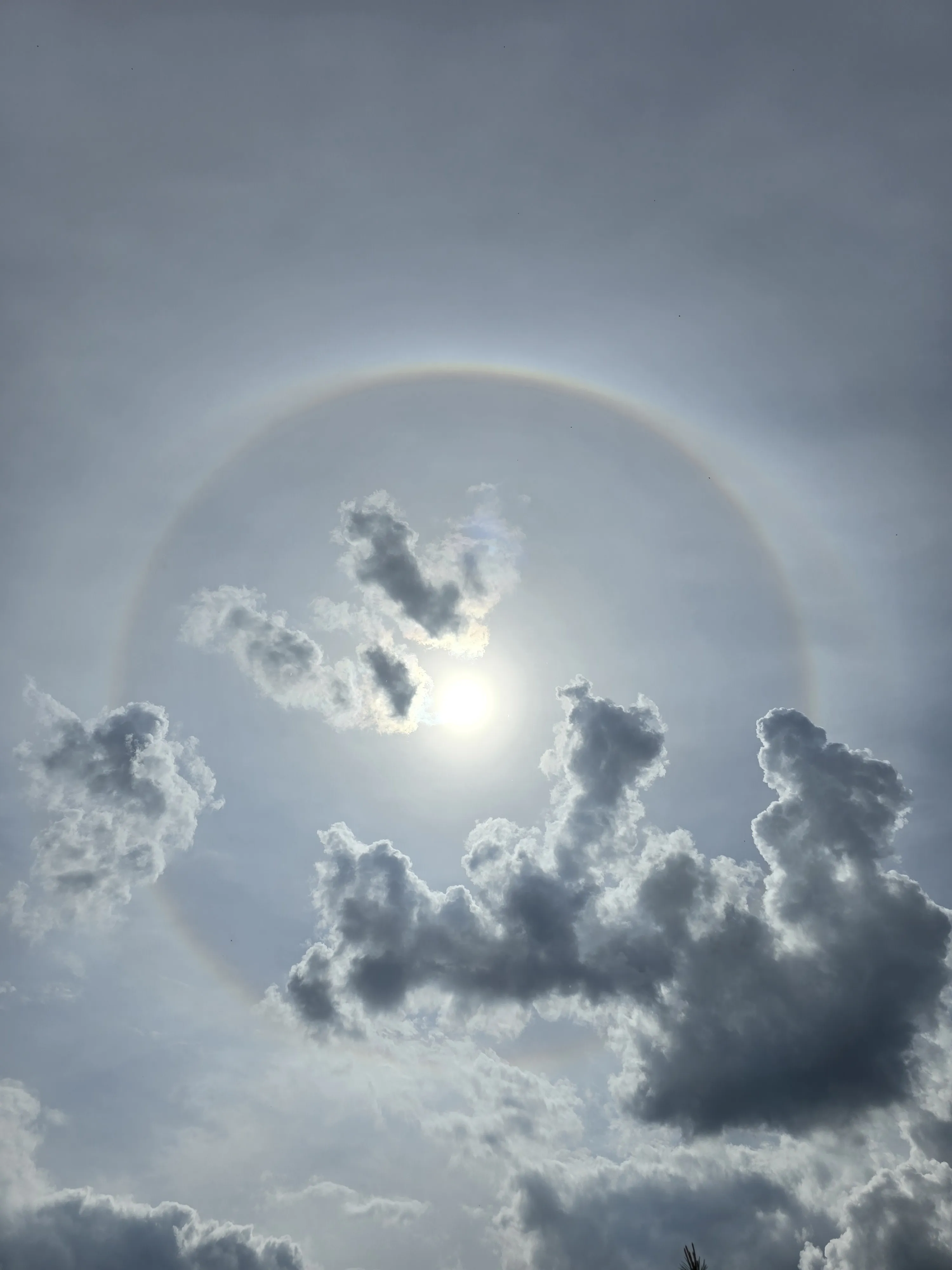 Летнее гало