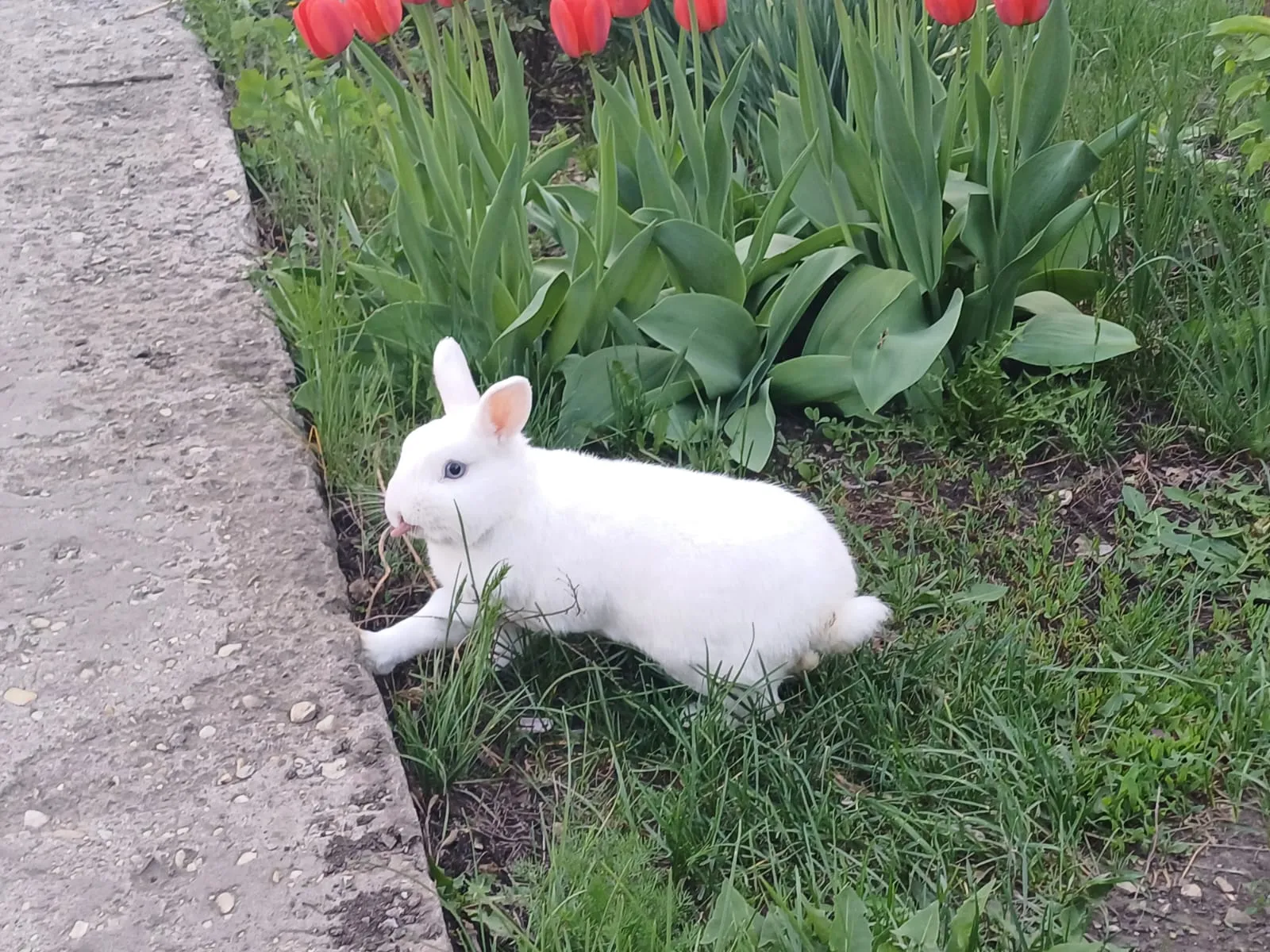 Маленький путешественник