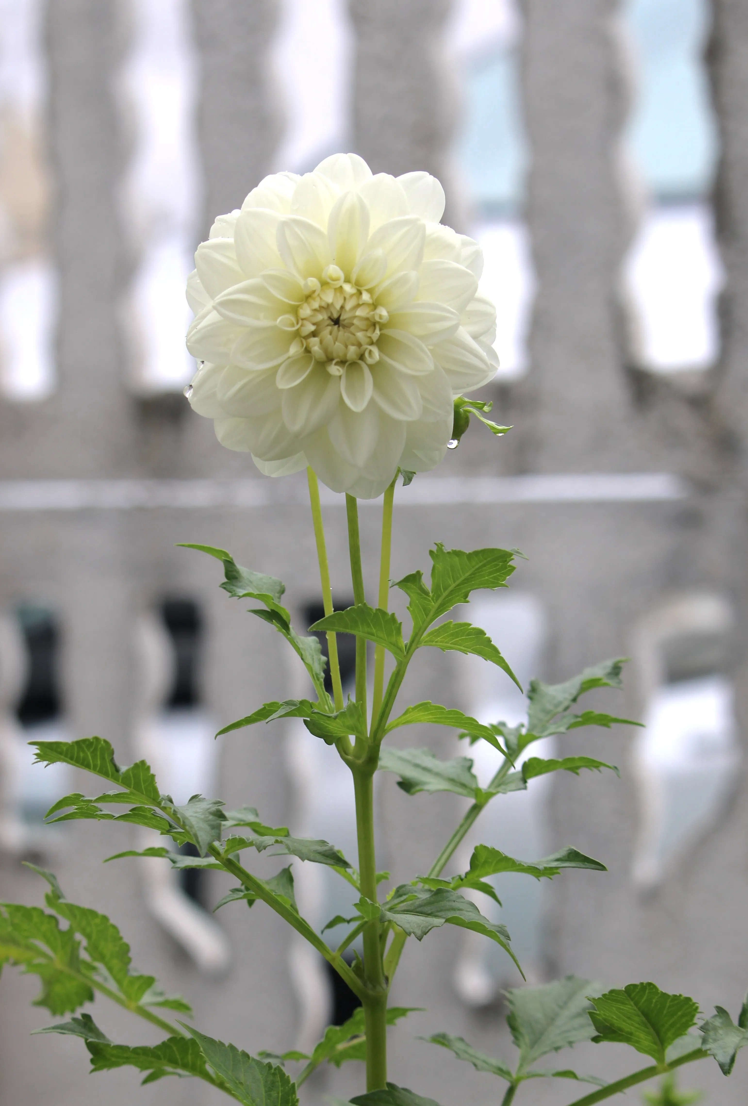 "Необъятная красота Тувы"