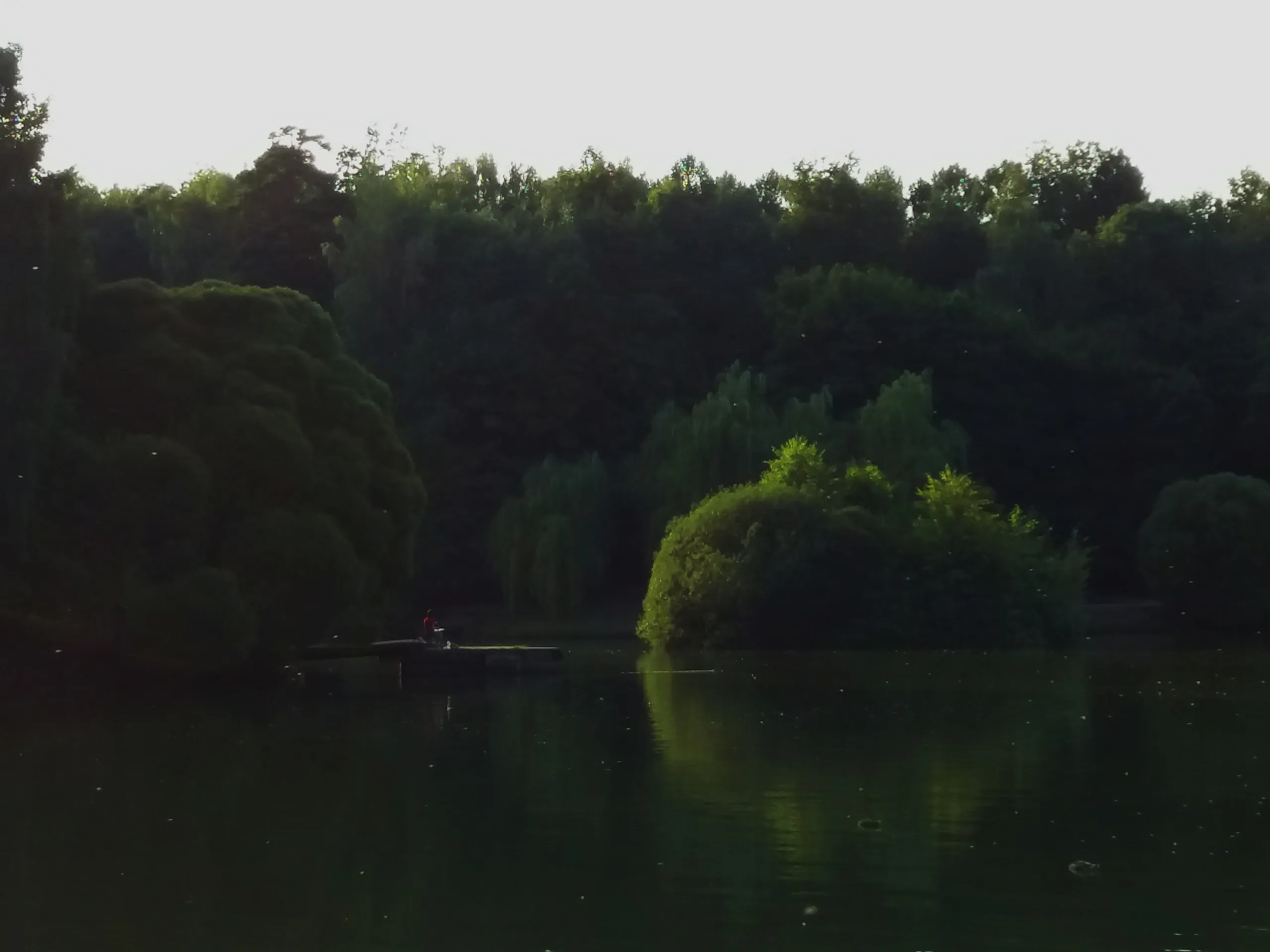 Наблюдение