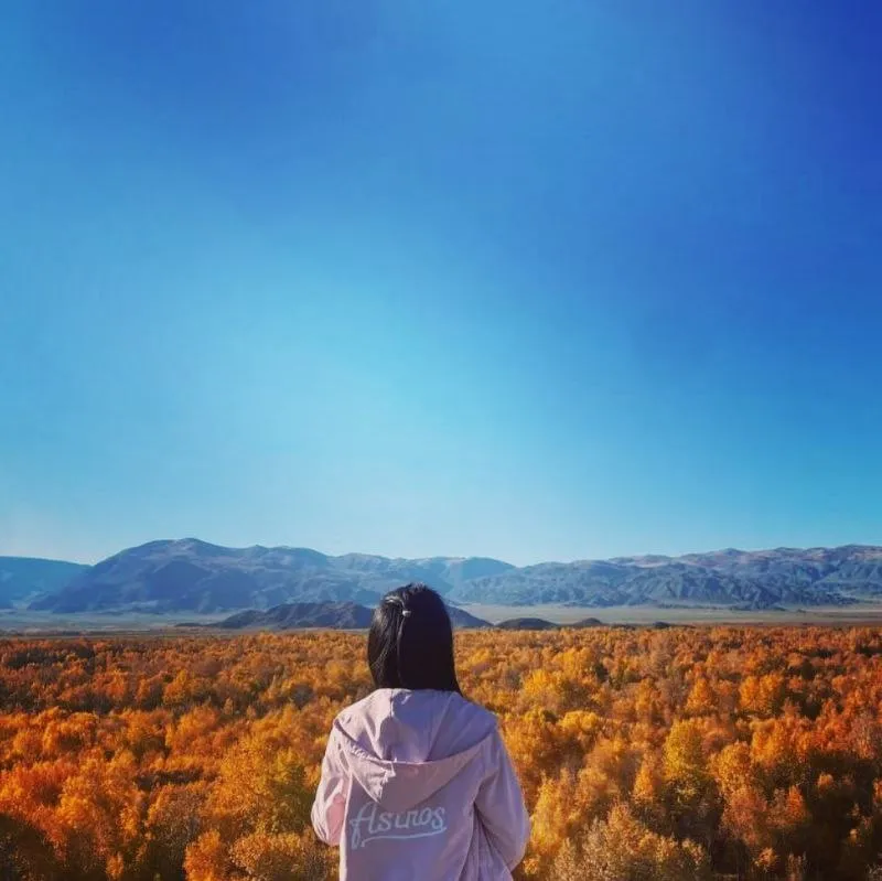 "Взгляд на осень"