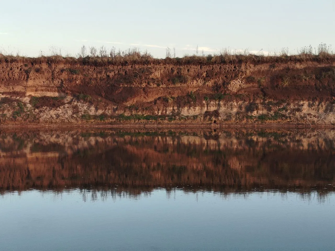 Нерль любимая