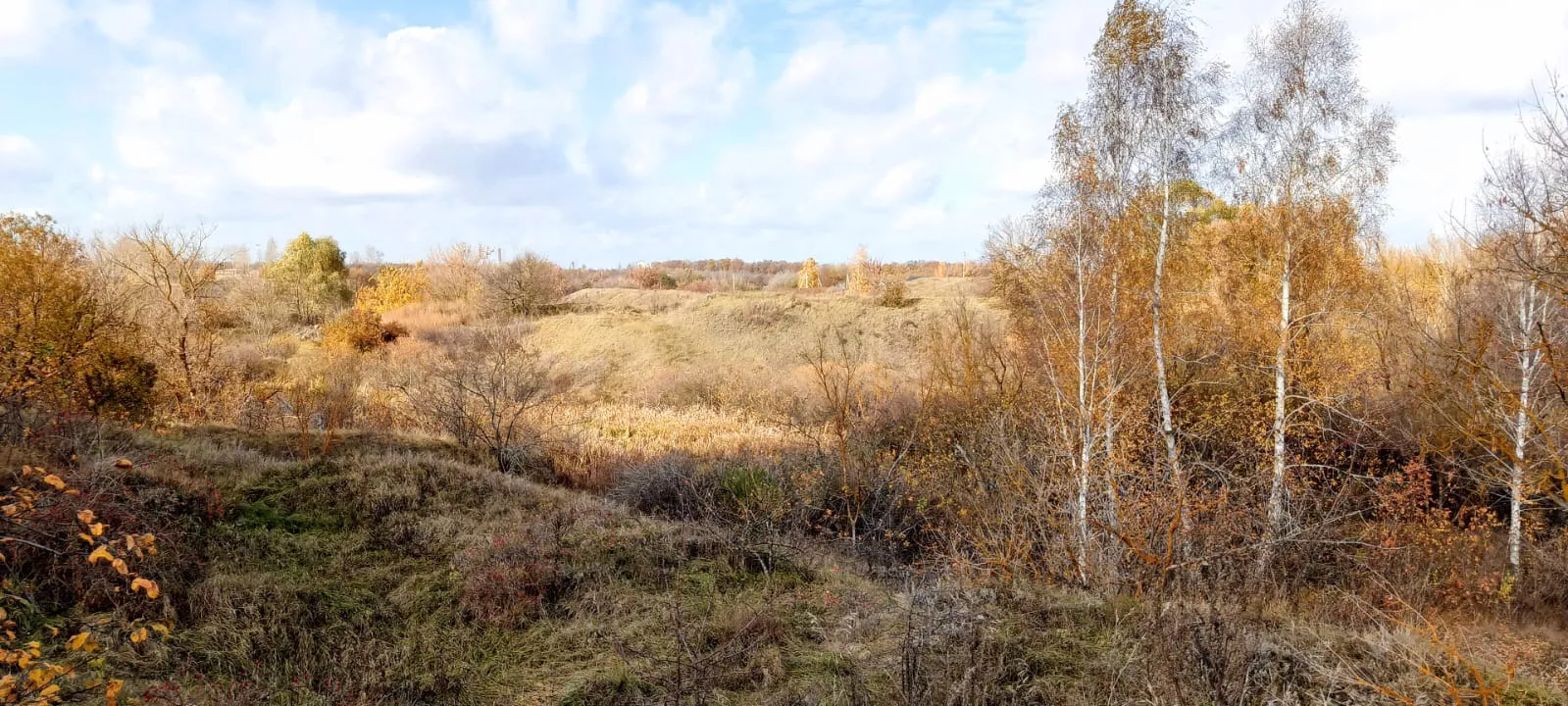 Осенние краски