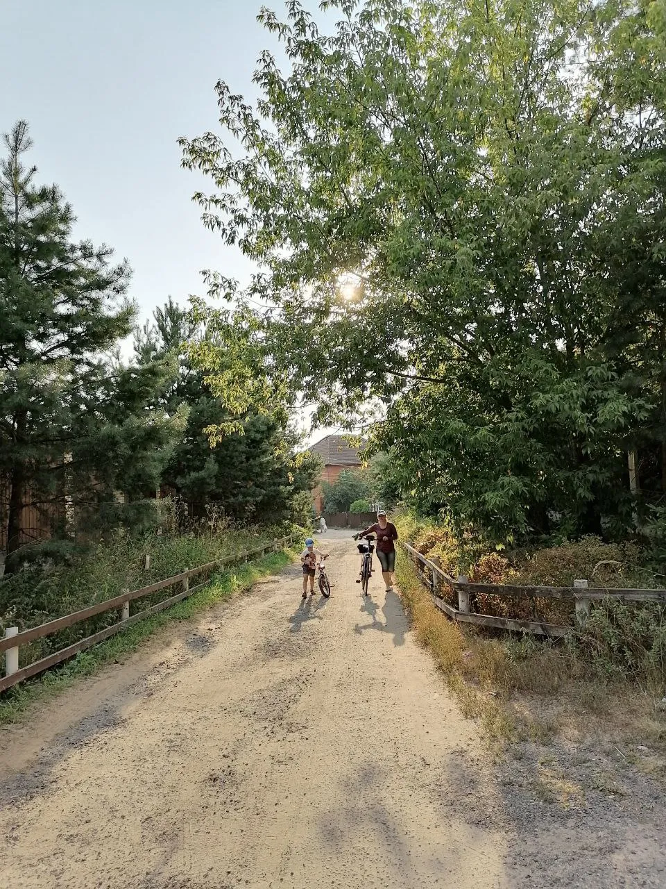 Летняя прогулка