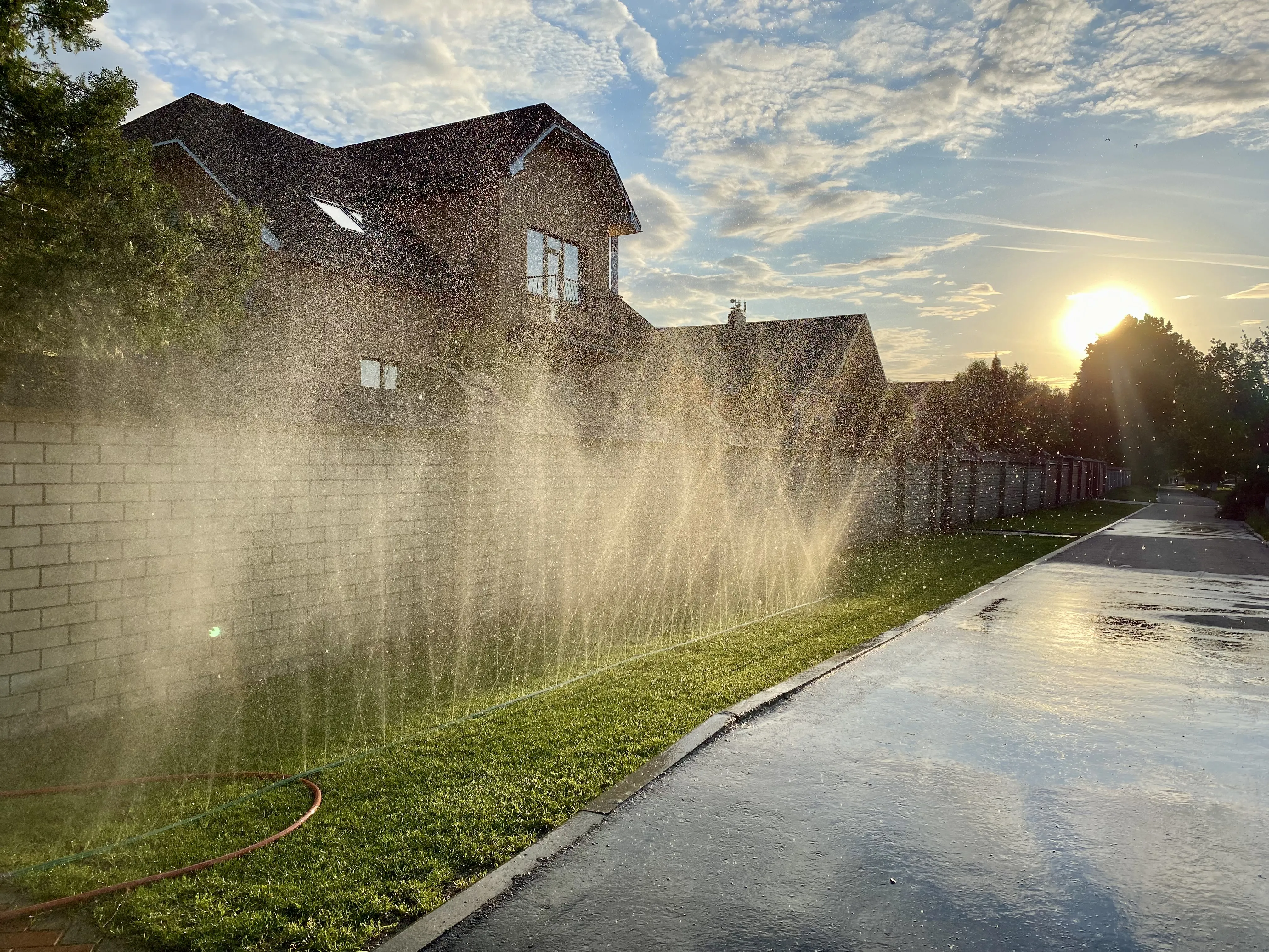 Золотой дождь