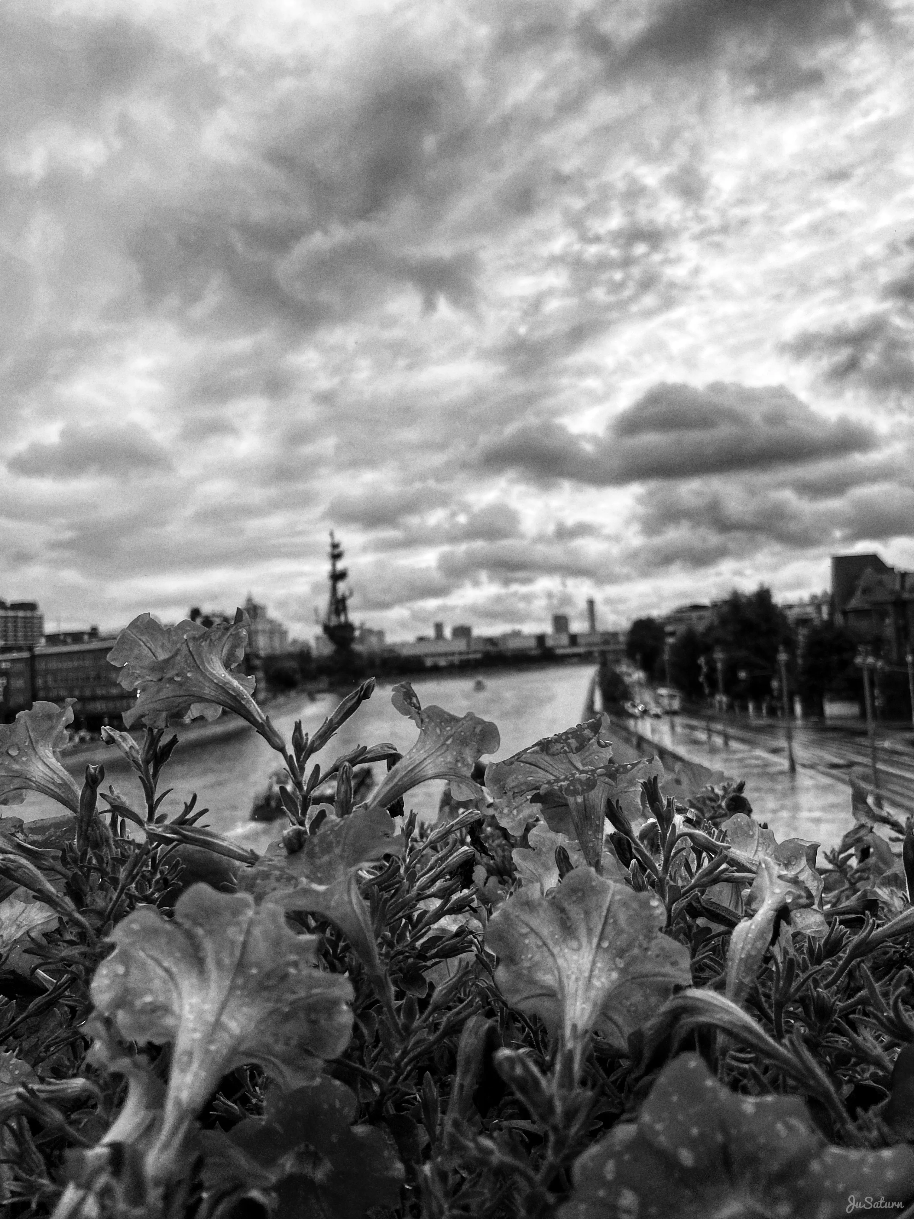 «В ожидании дождя»