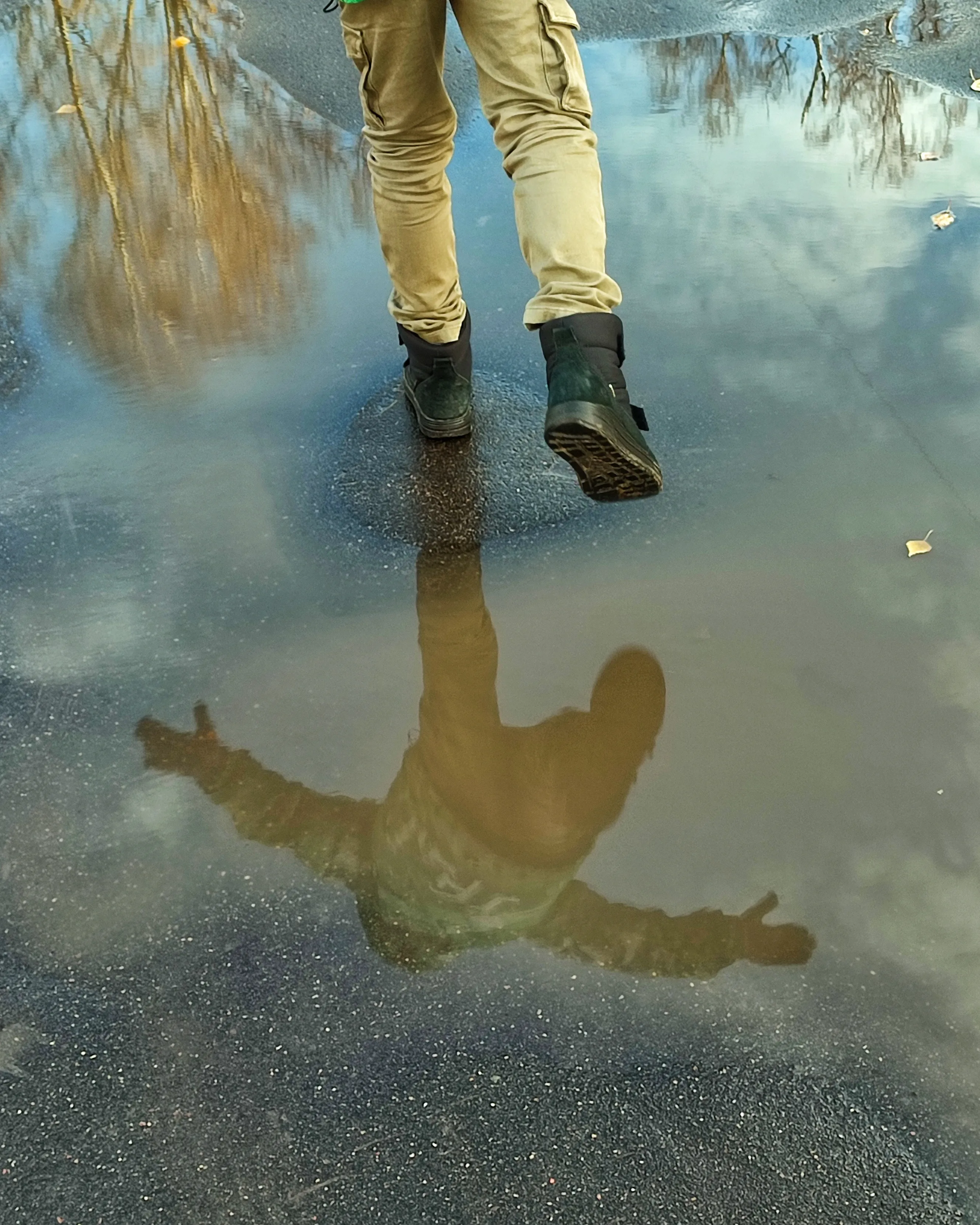 Ноябрьские отражения