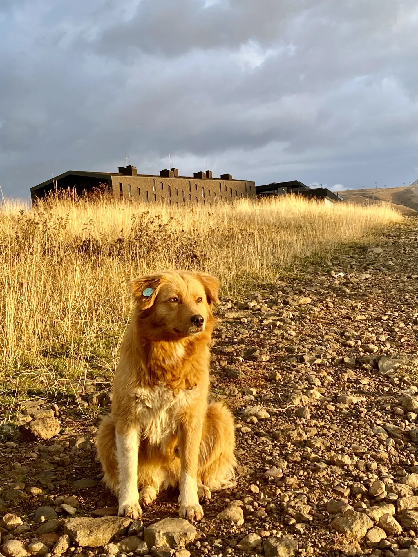 ангел-хранитель мой