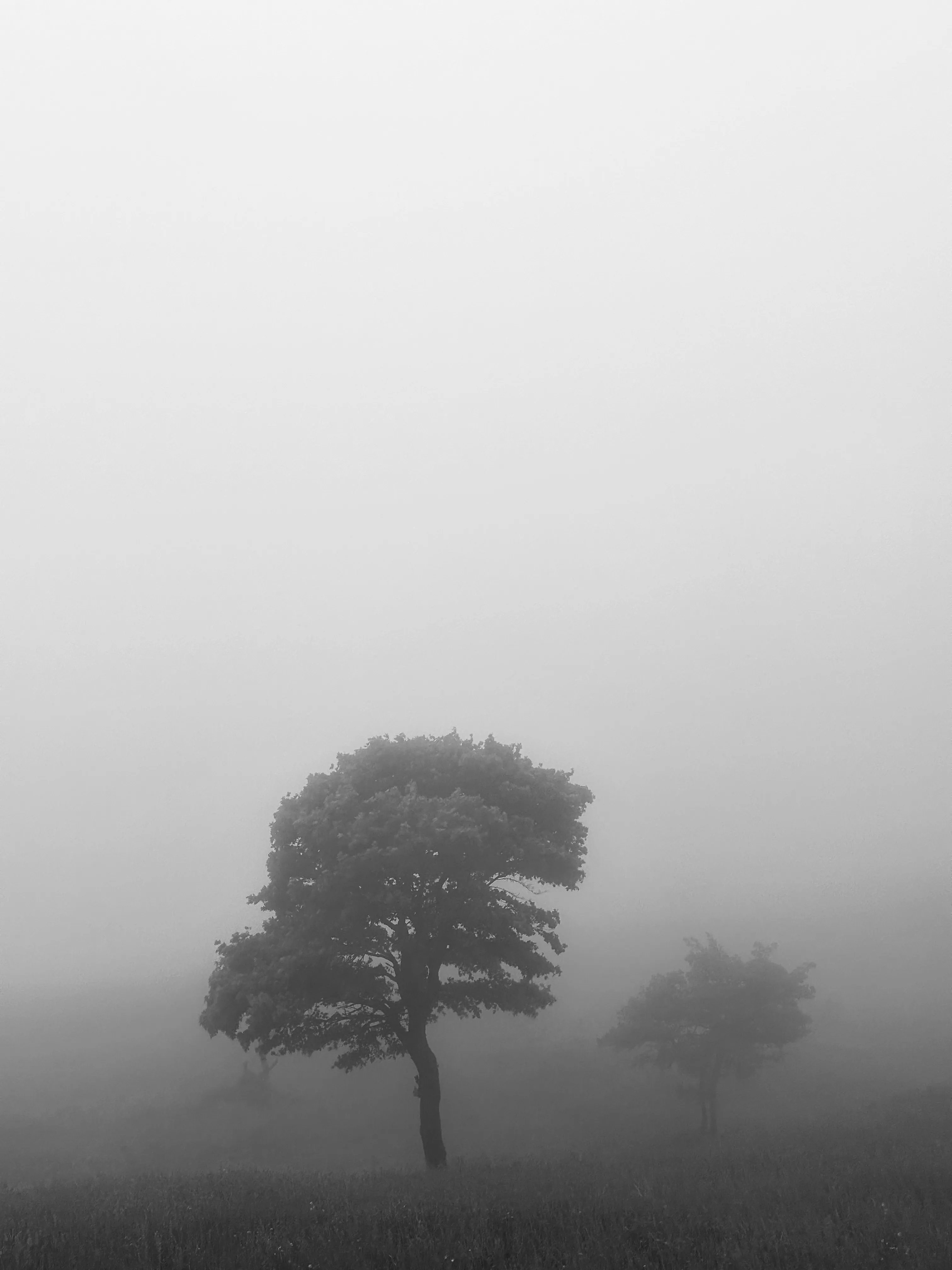 Затерянные во мгле…