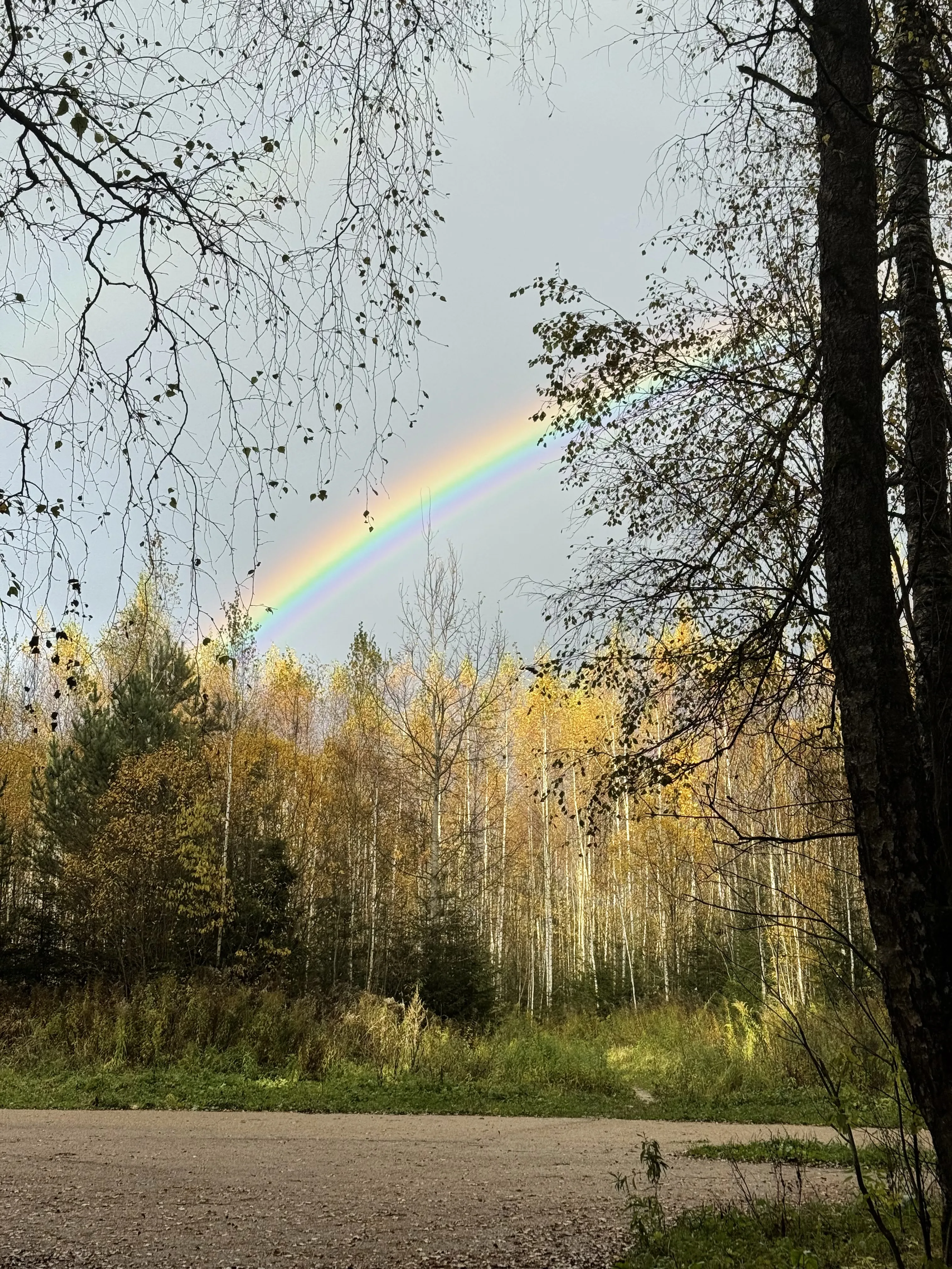 Чудо природы в октябре