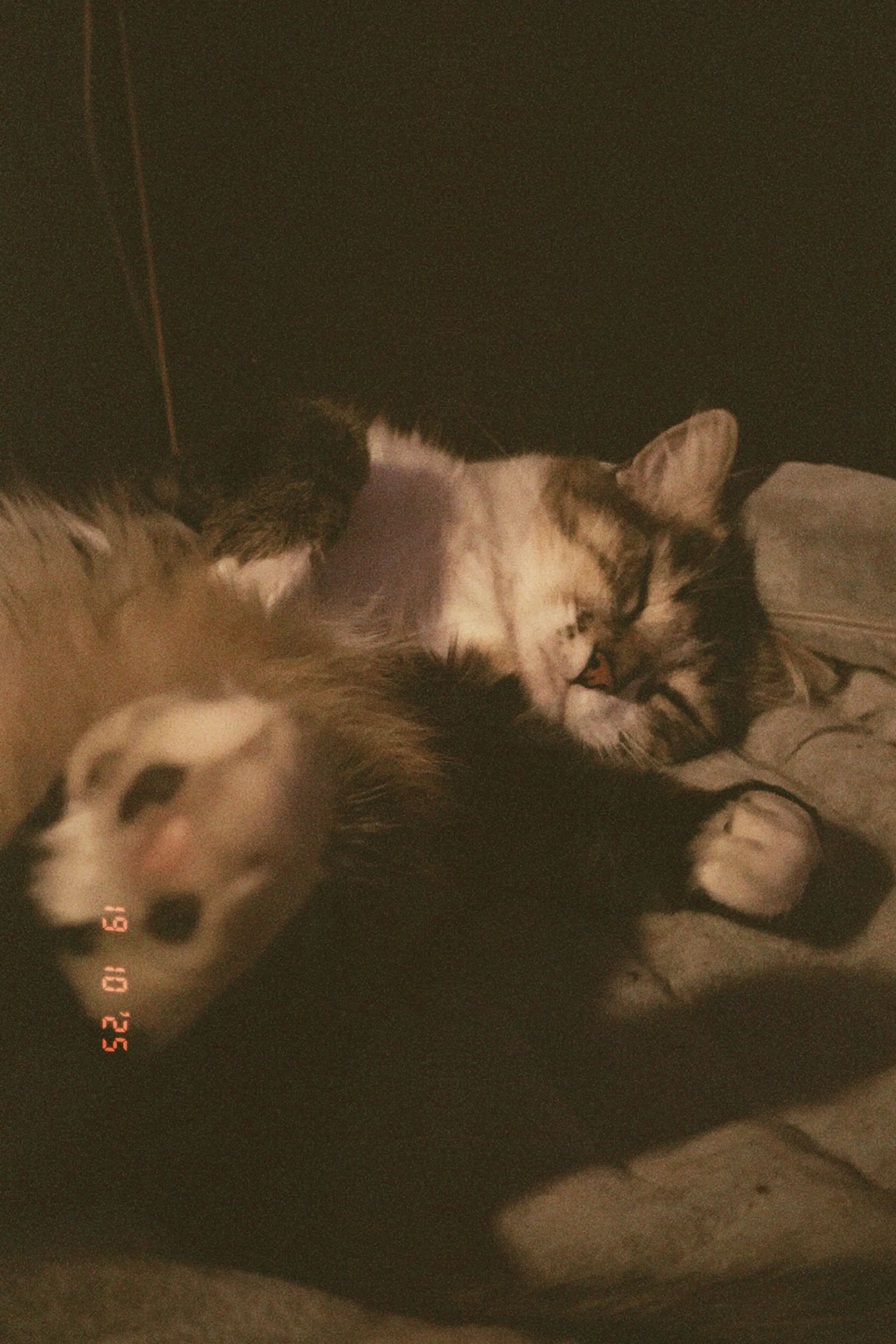 Моменты уязвимости