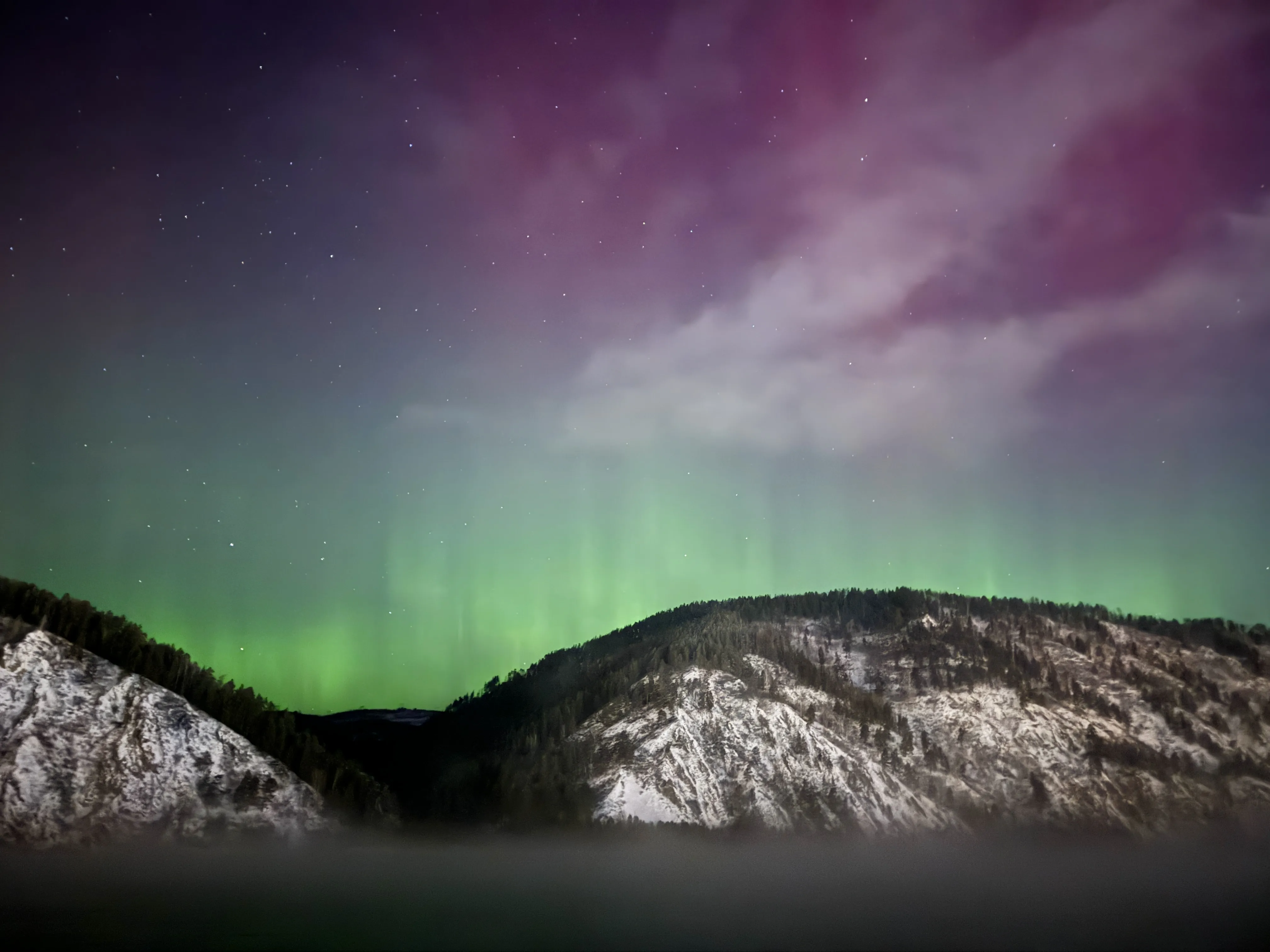 Новогоднее чудо!