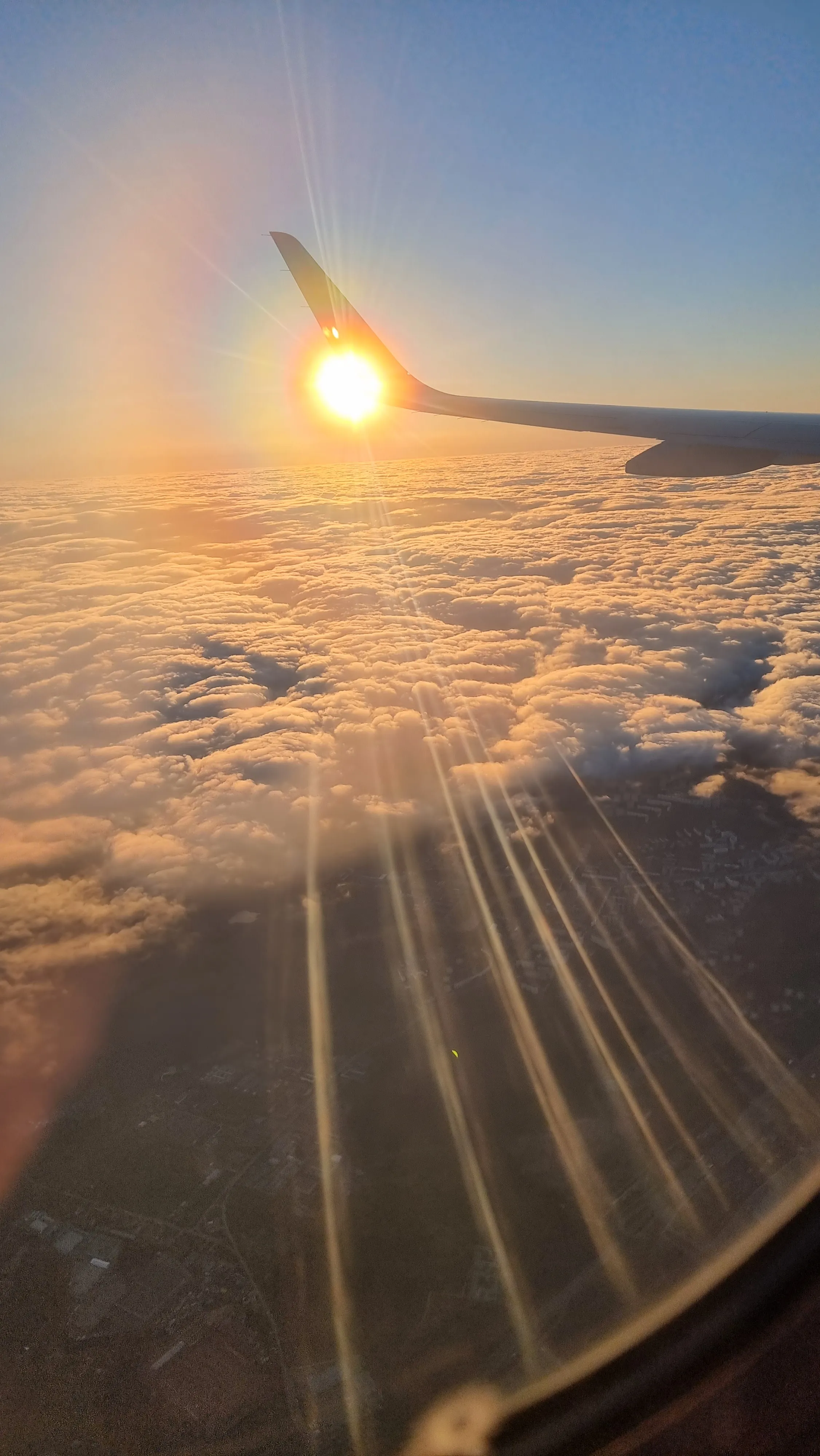 "Крылья заката"