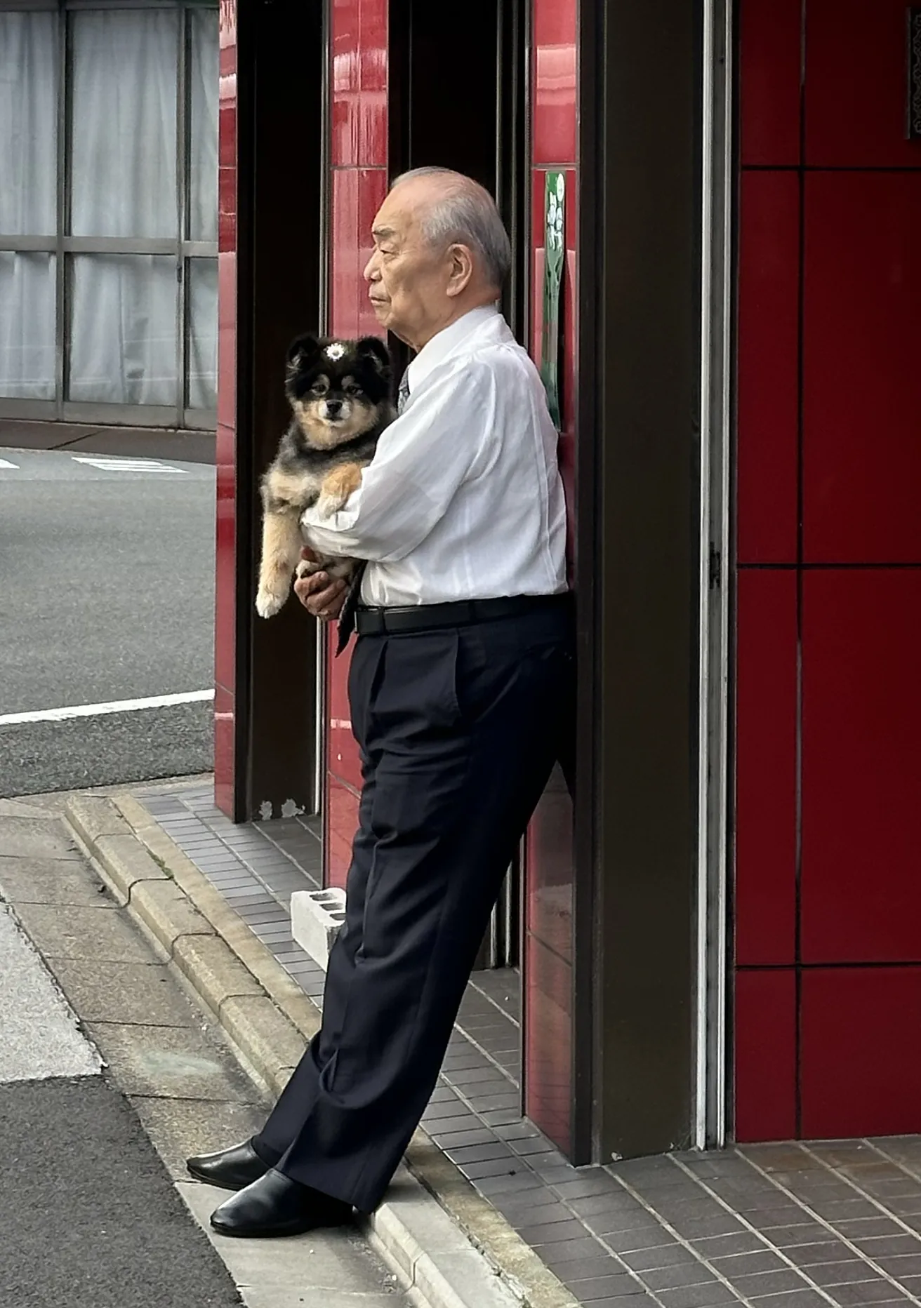 Тихие спутники