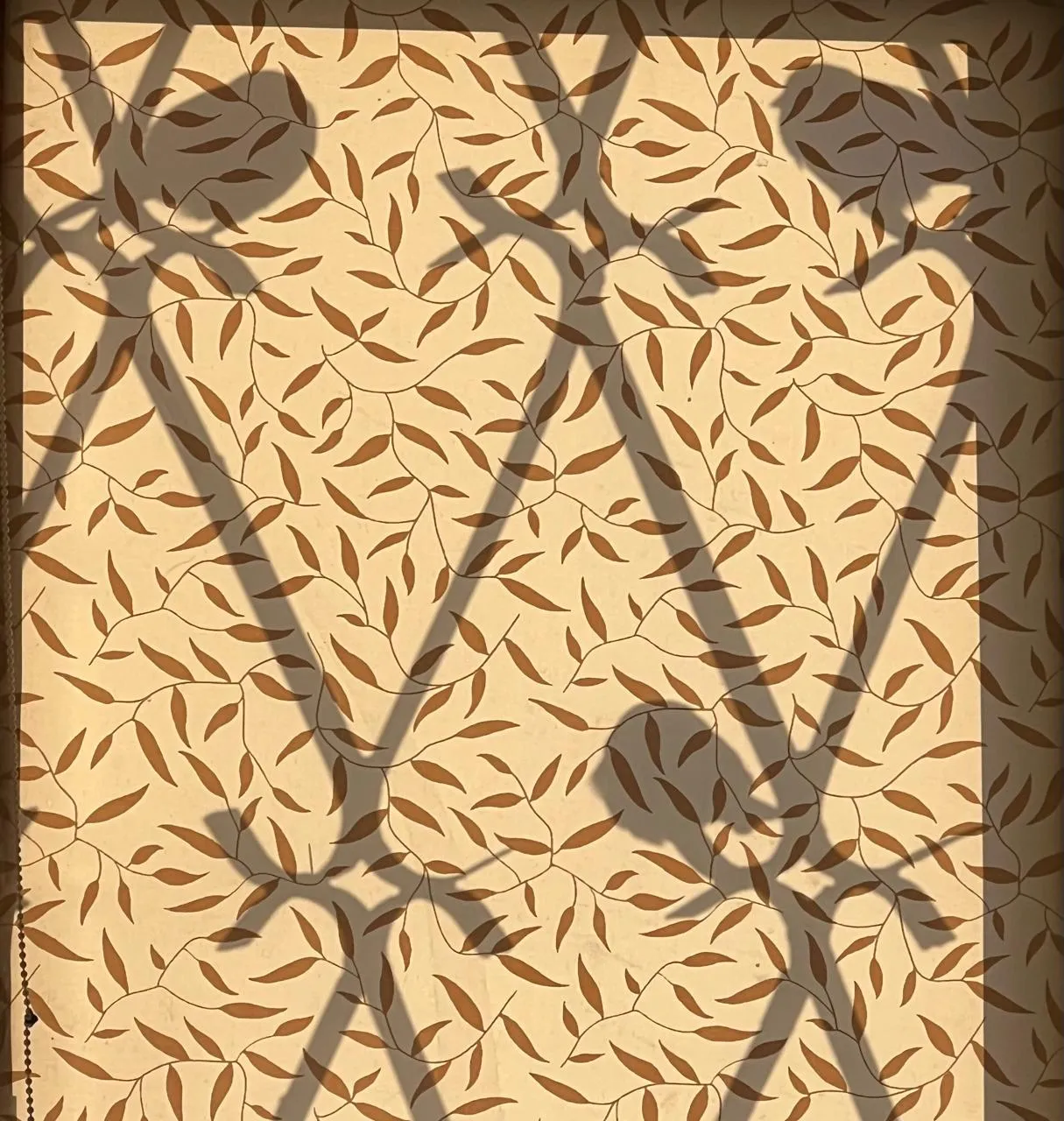 Птички за окном