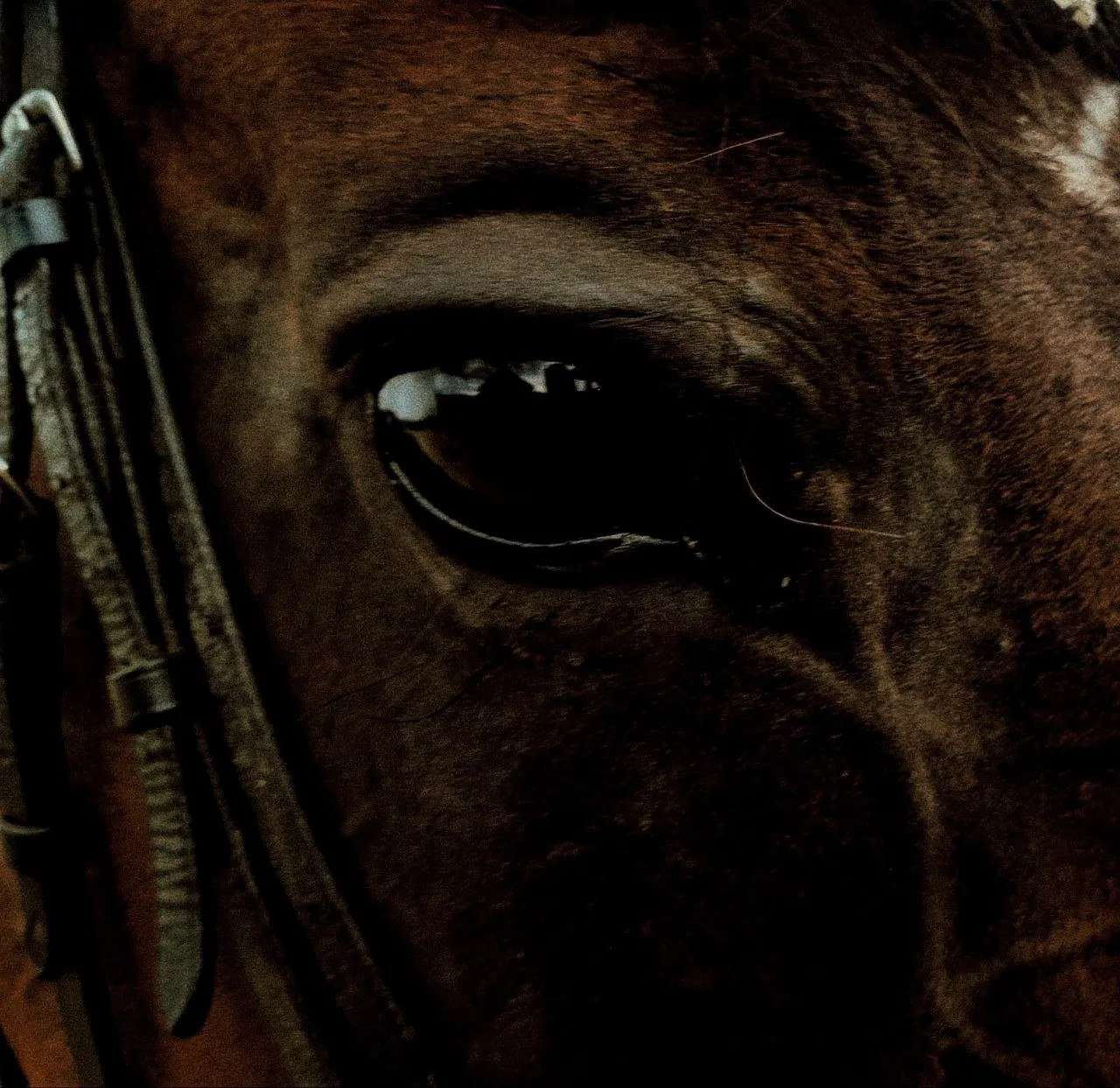 а теперь читай по глазам