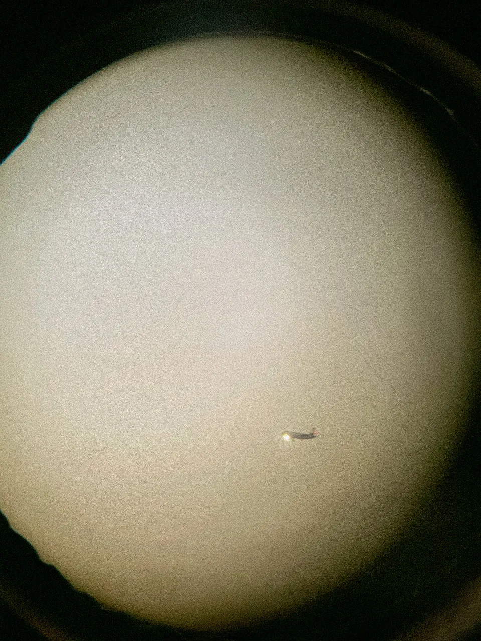 Лето, прощай!