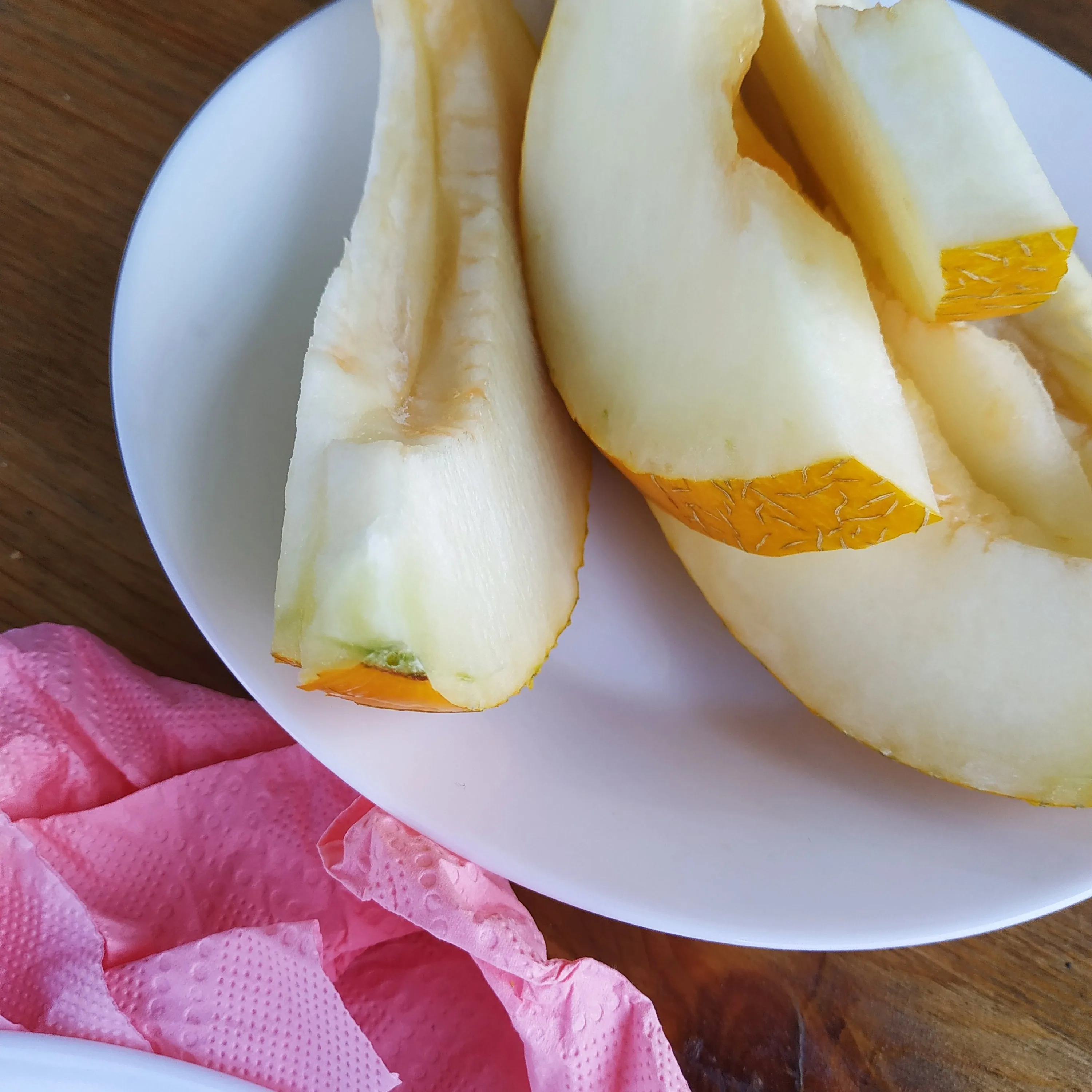 Тарелка лета