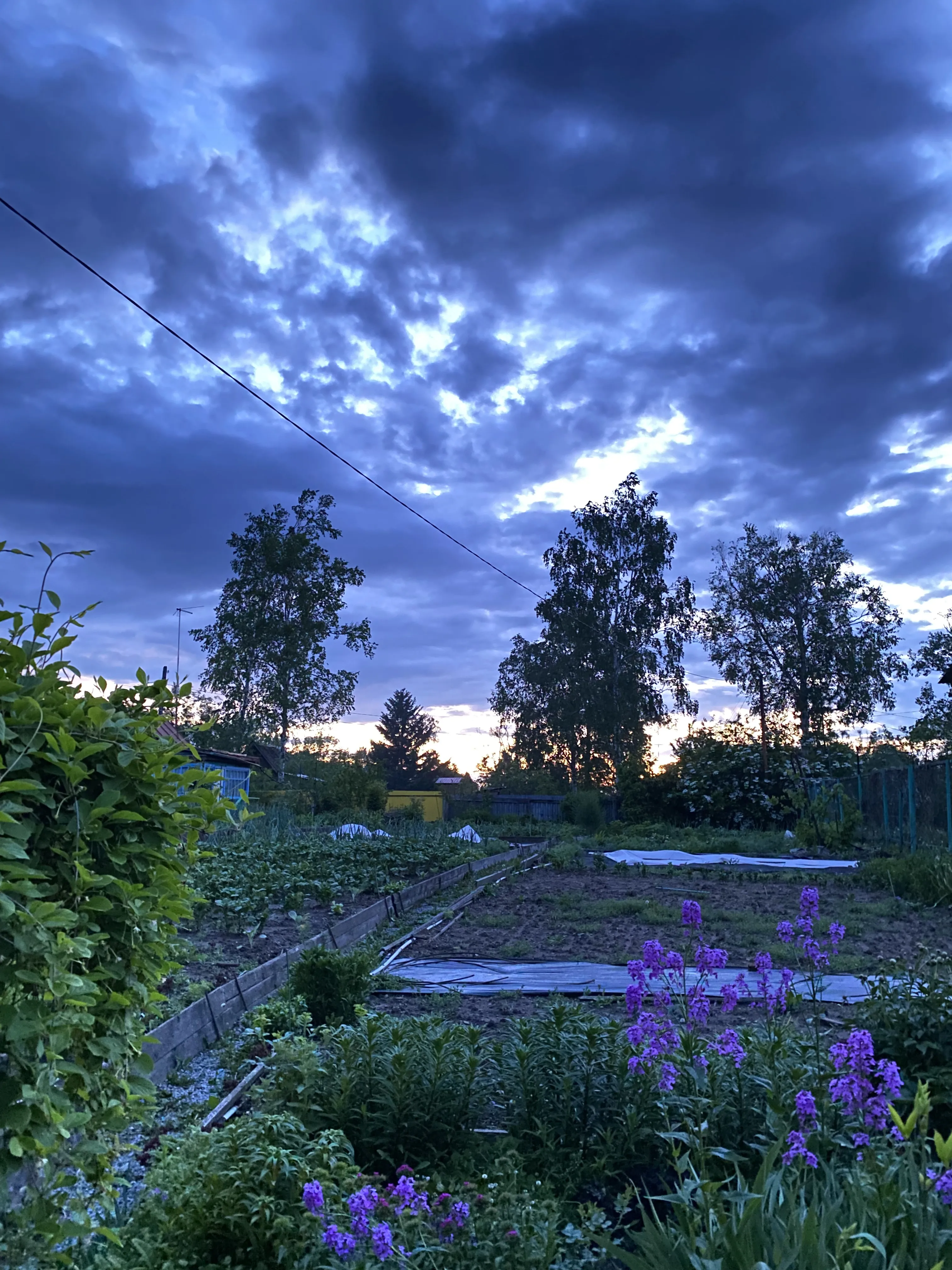 Природа искусна