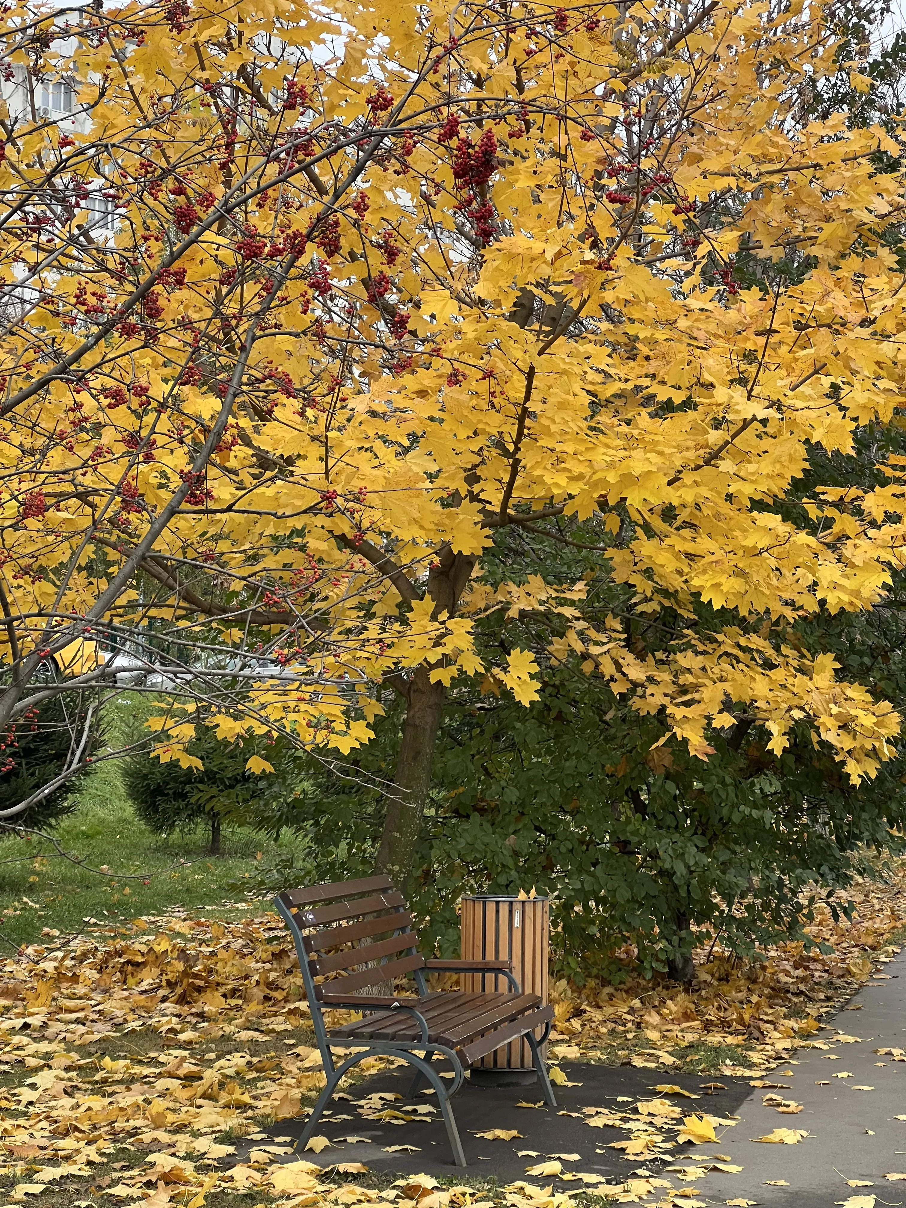 Осень в городе