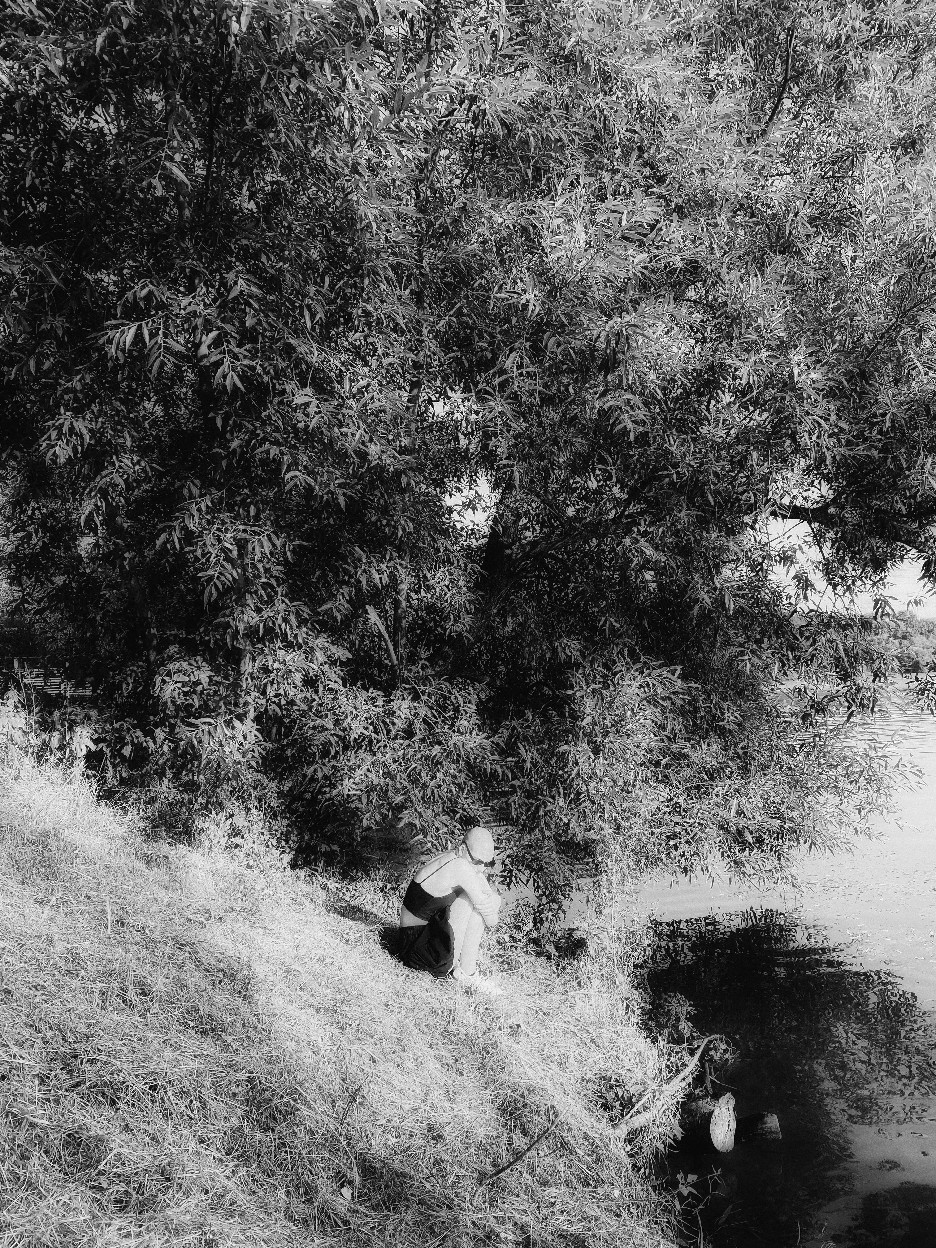 без названия