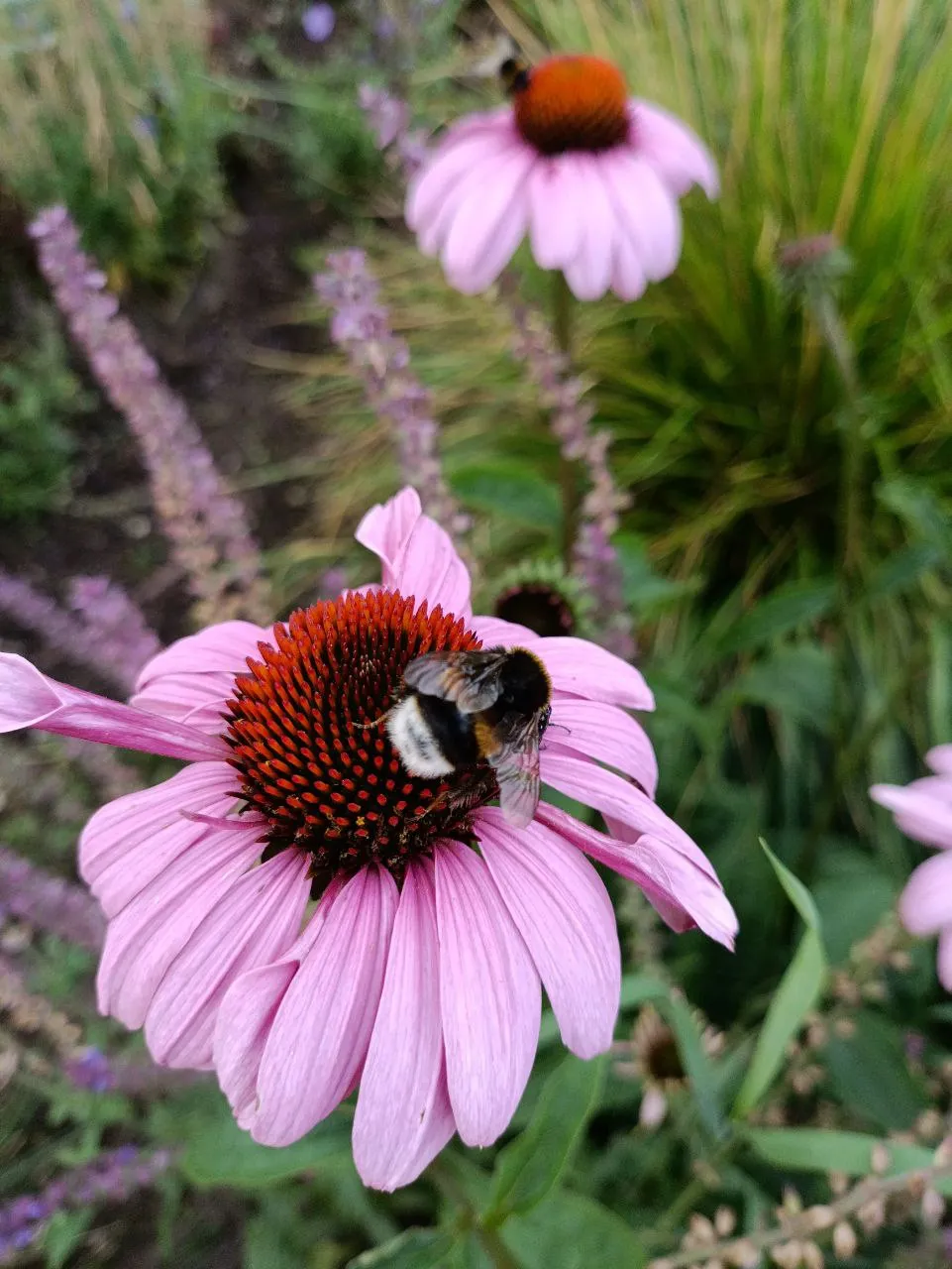 Трудовые будни.